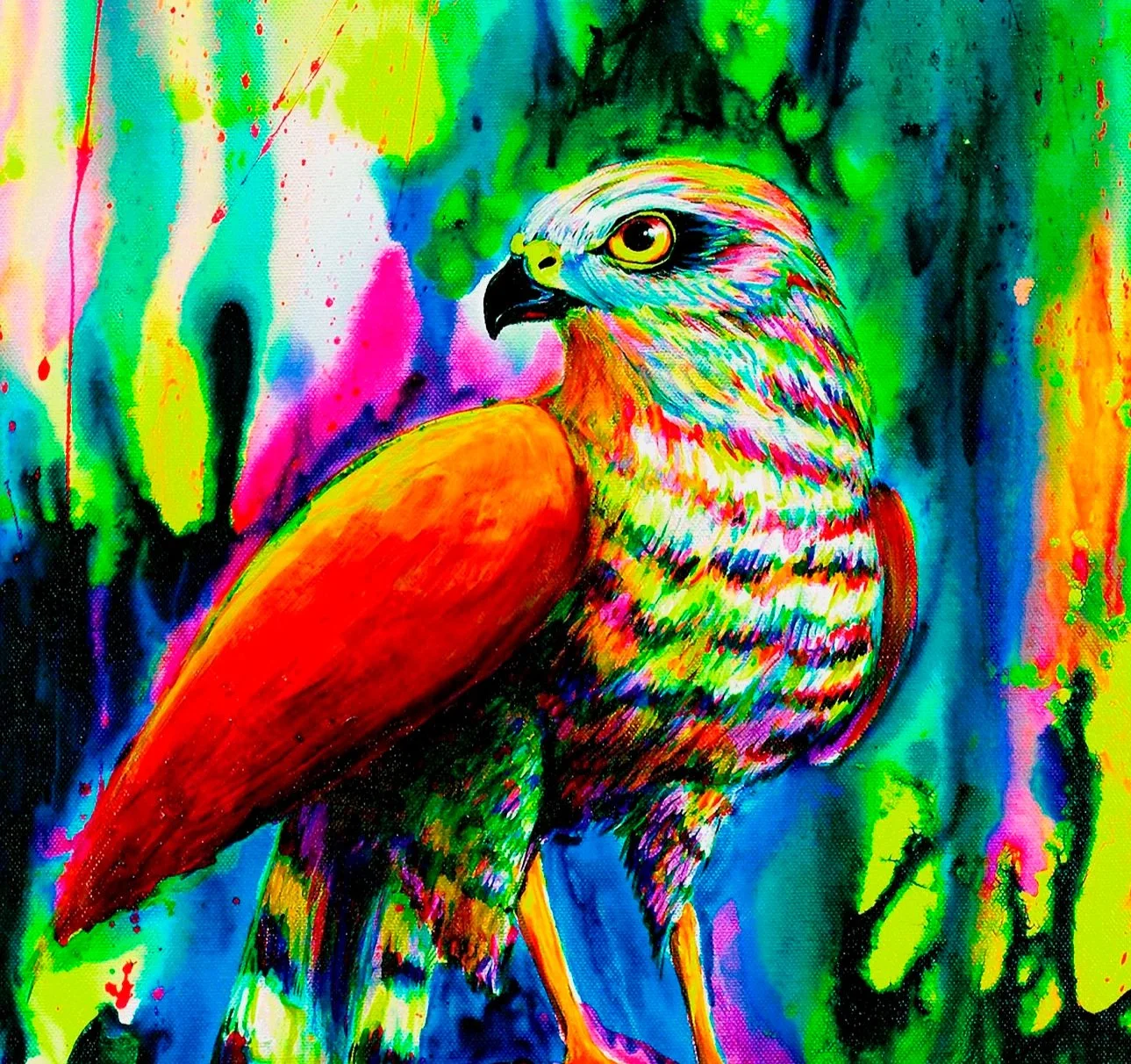 "Sparrow Hawk"