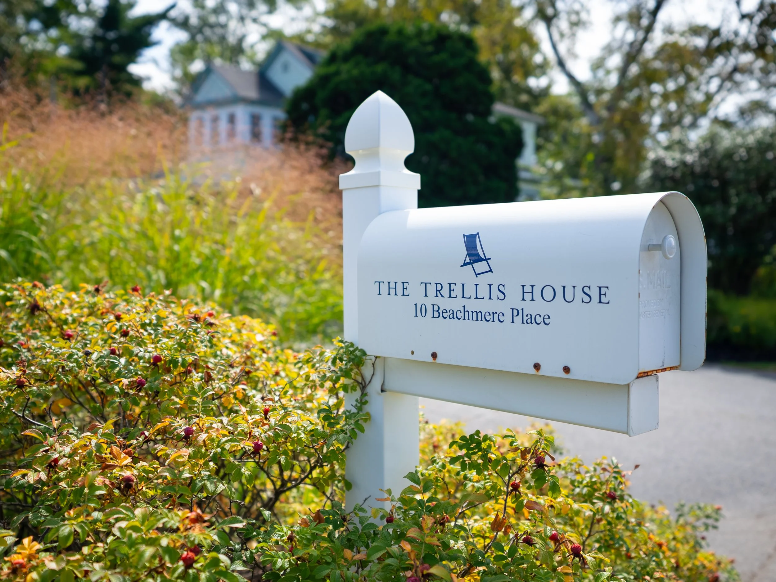 Blue Shutters-20.jpg