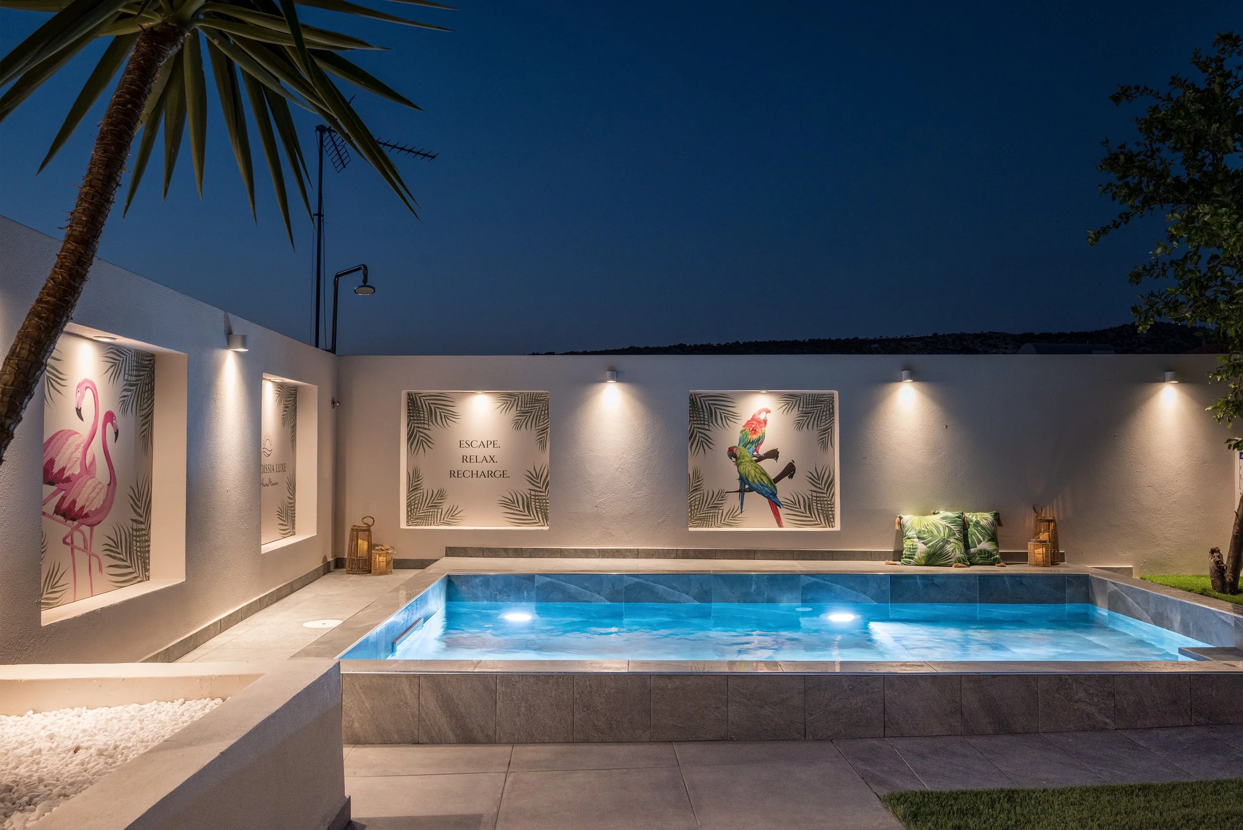 Nighttime view of a modern outdoor patio with a pool, illuminated wall art featuring tropical birds, and decorative pillows with green foliage patterns.