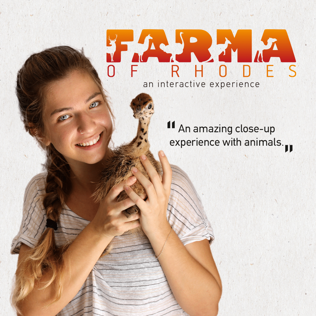 A young woman with light brown hair in a braid is smiling and holding a baby giraffe. The text on the image advertises Farmama of Rhodes, an interactive experience with animals, with the phrase "An amazing close-up experience with animals."