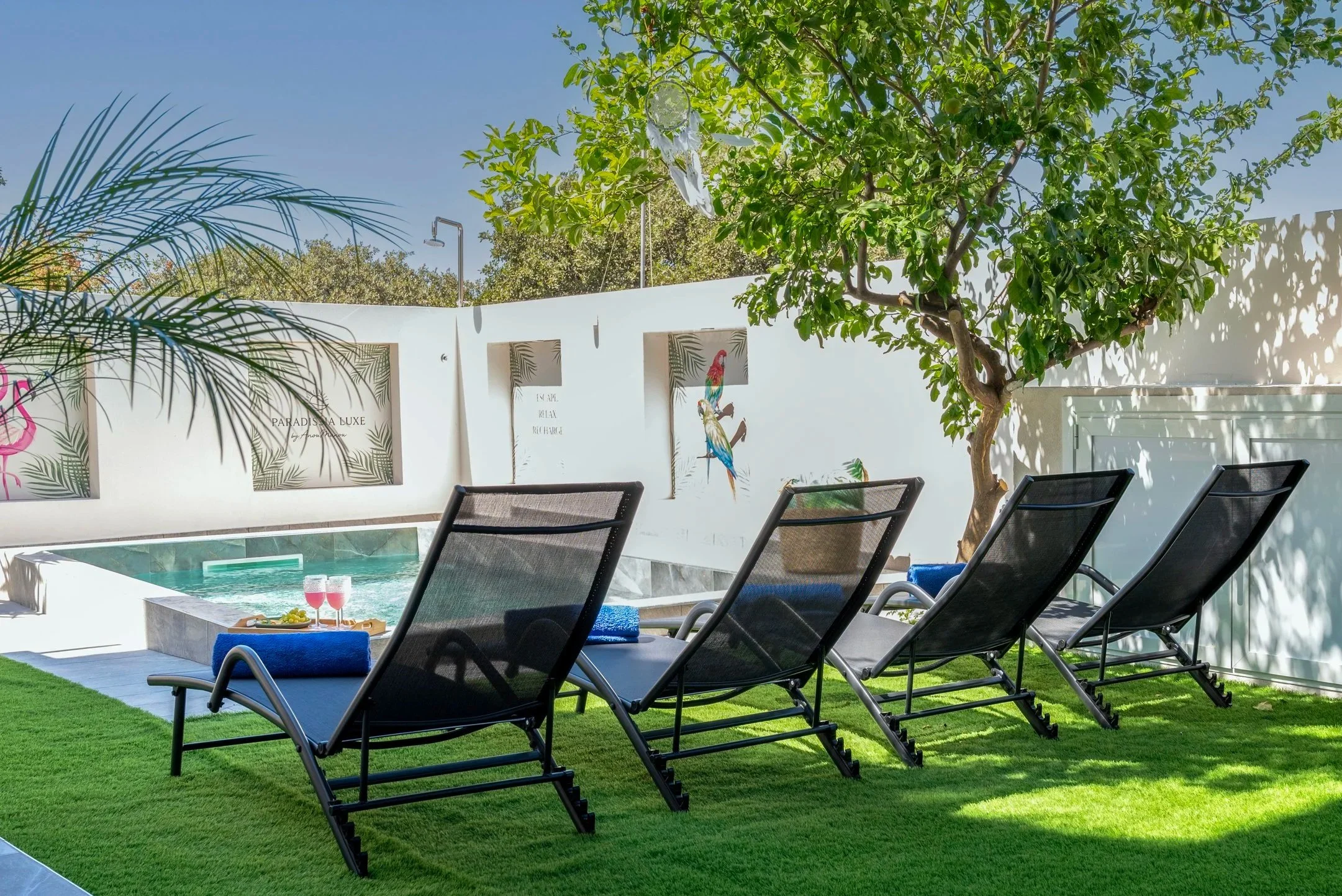 Backyard with four black lounge chairs on green grass, a small pool, a tree, and wall art featuring tropical leaves and parrots.