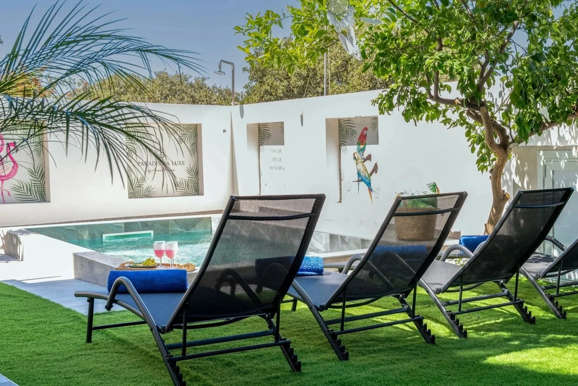 Outdoor lounging area with black reclined chairs, small table with drinks and snacks, pool, and a white wall with tropical-themed artwork, trees, and greenery.