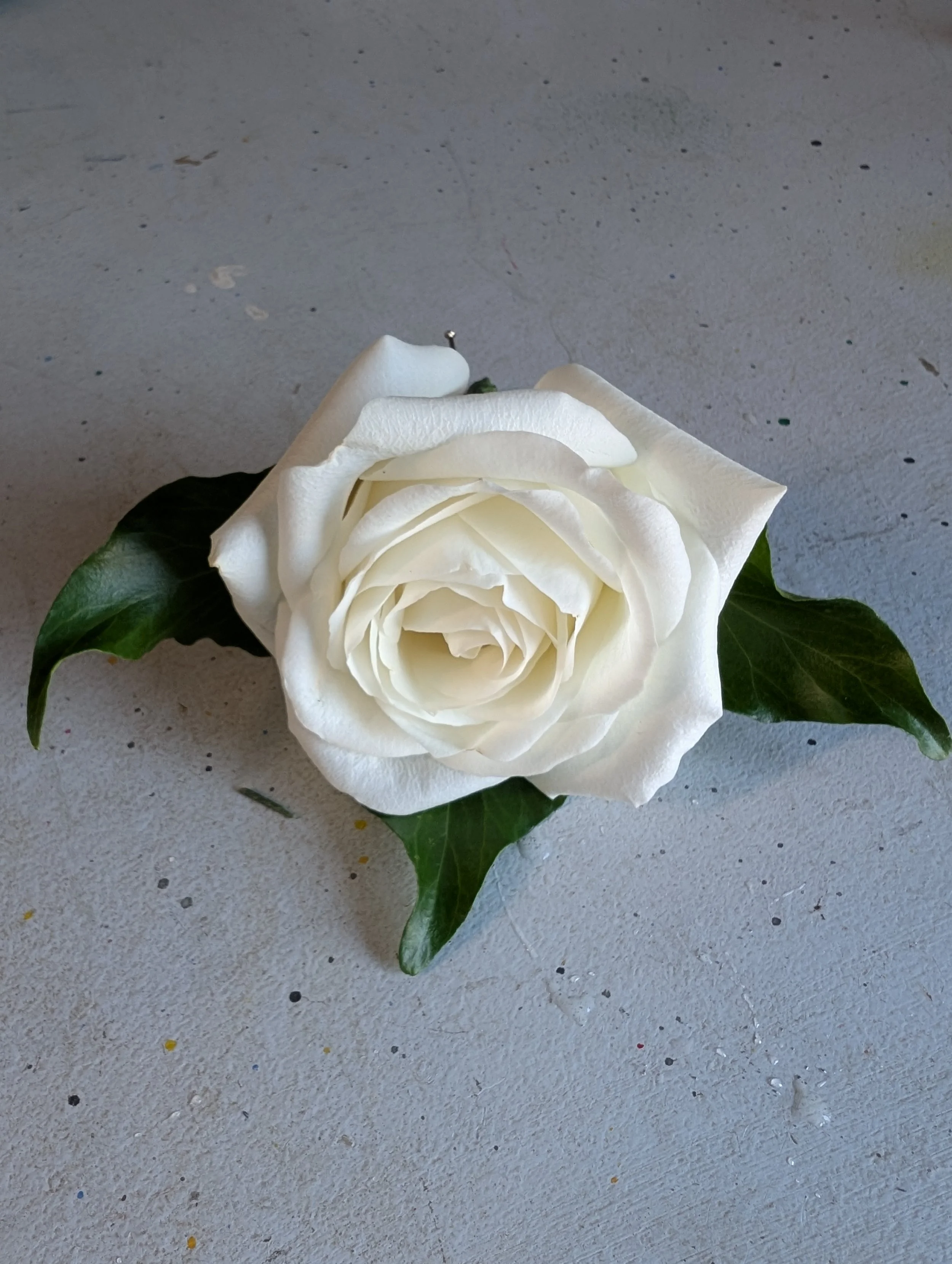 PXL_20250621_074742670.jpg