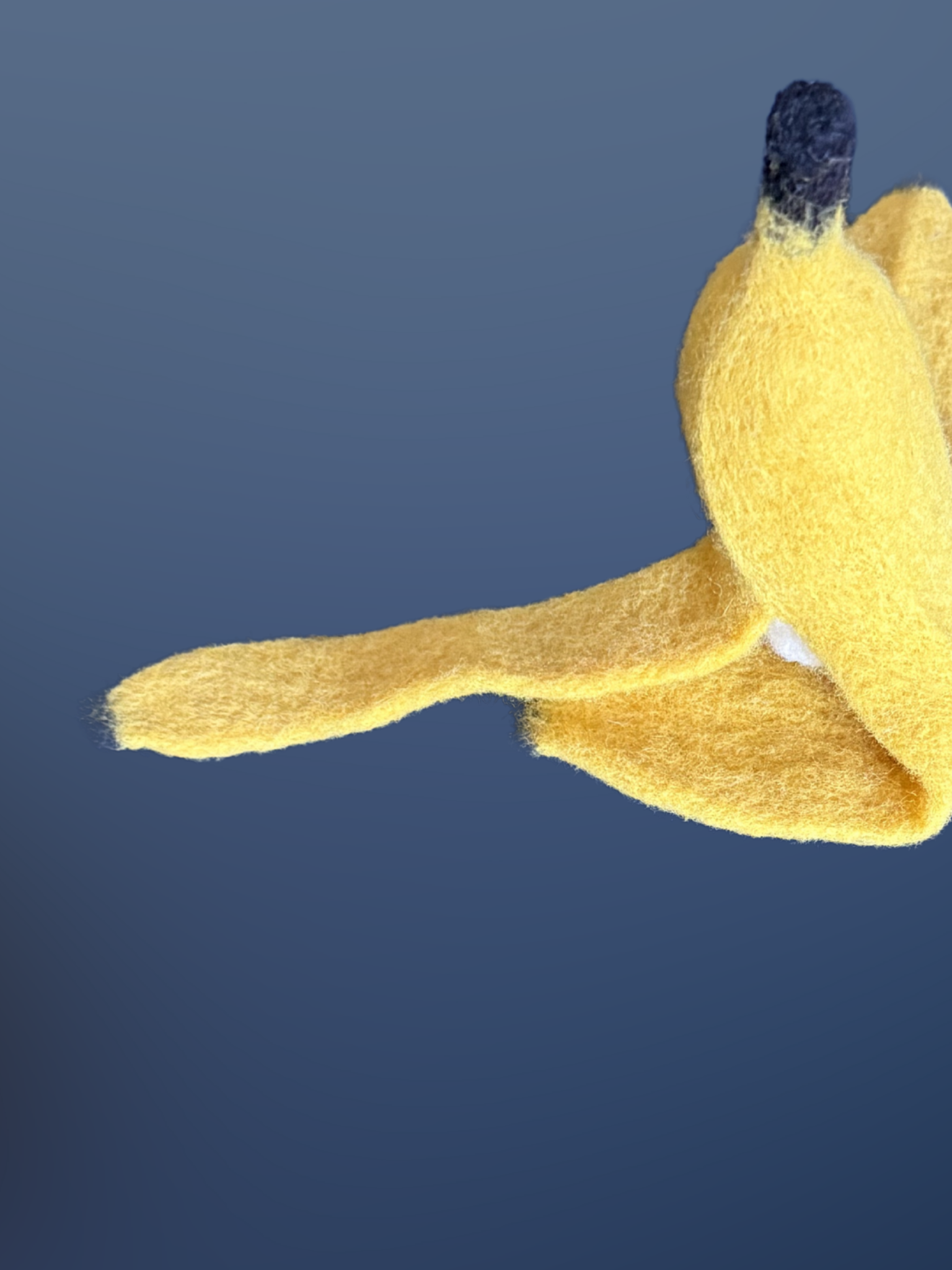 17.png