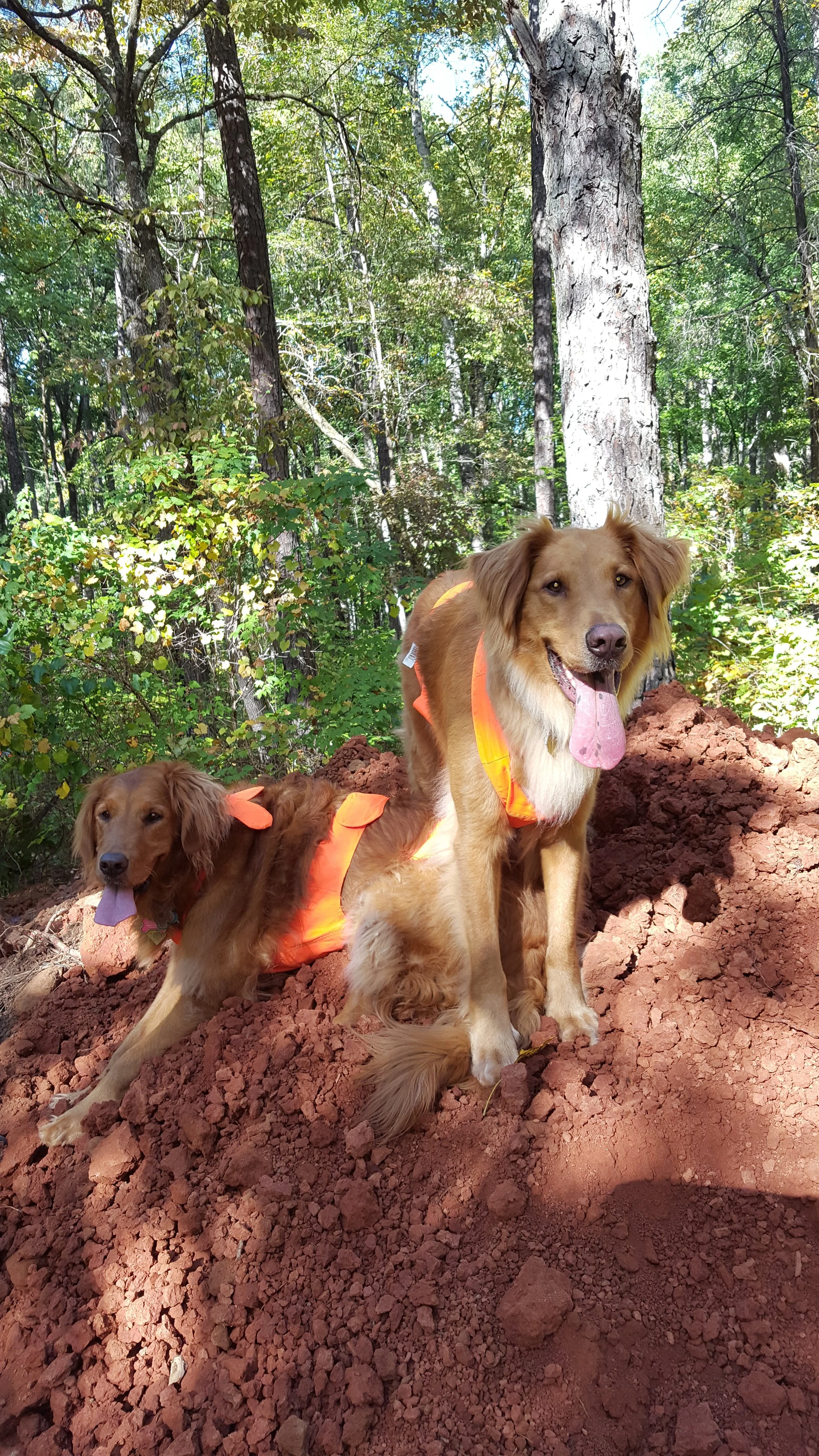 Initial project consultation