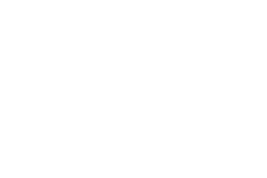 Claims Adjuster Pro