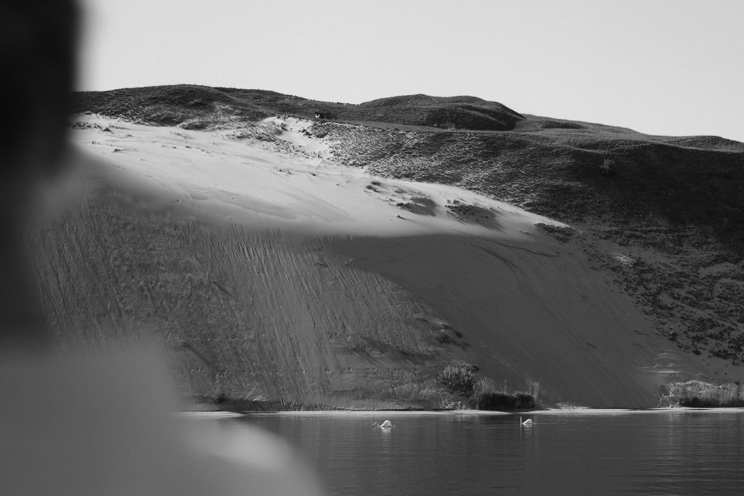 Neringa & Robert-147.jpg