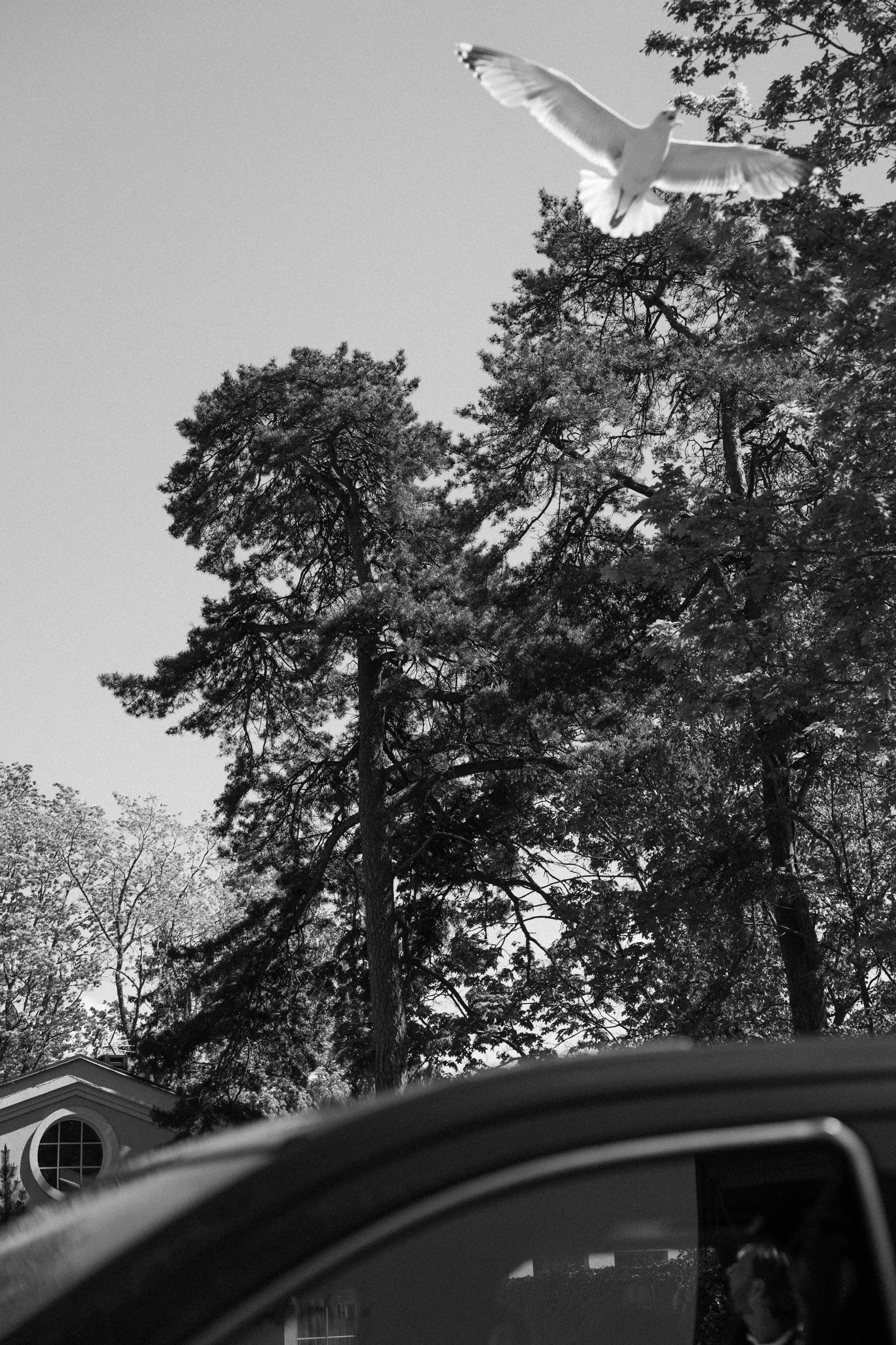 Neringa & Robert-111.jpg