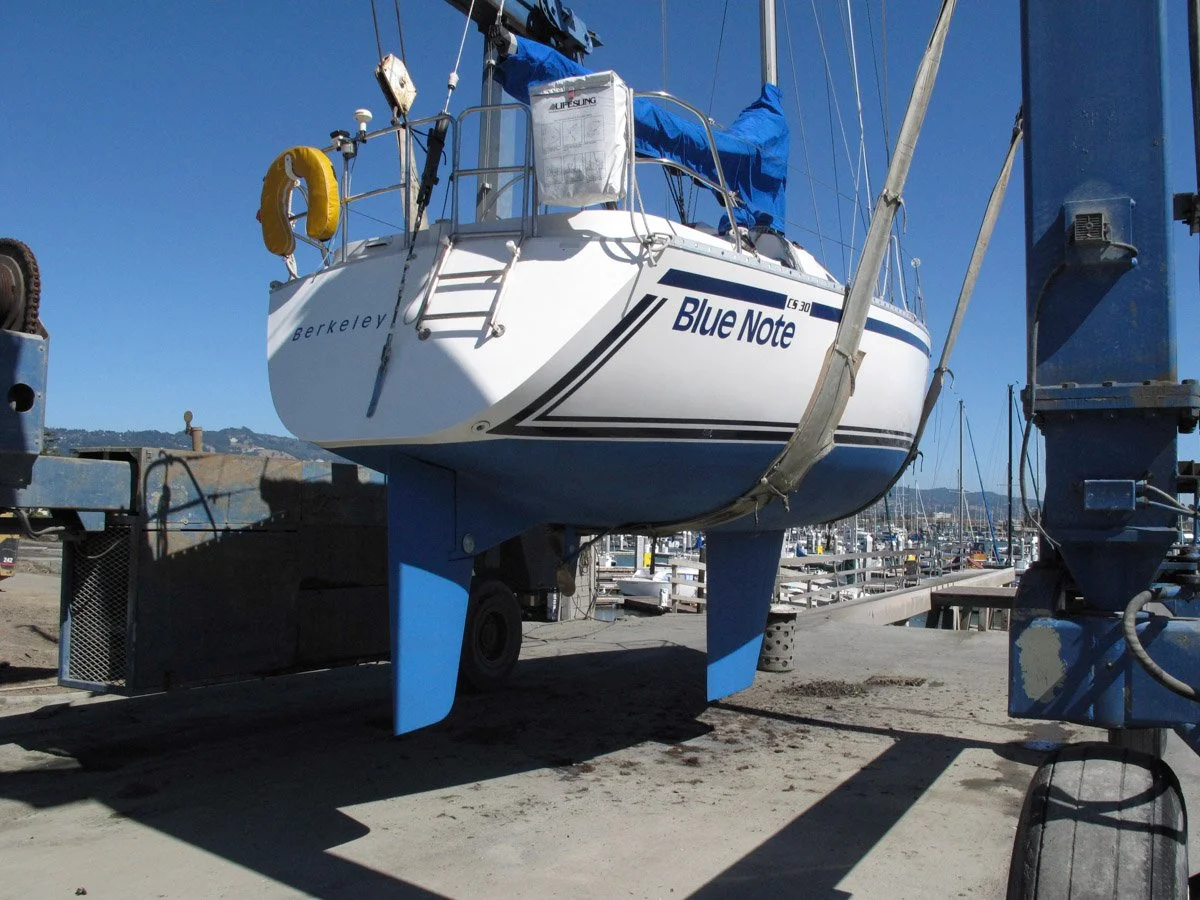 Why a Professional Marine Survey Matters