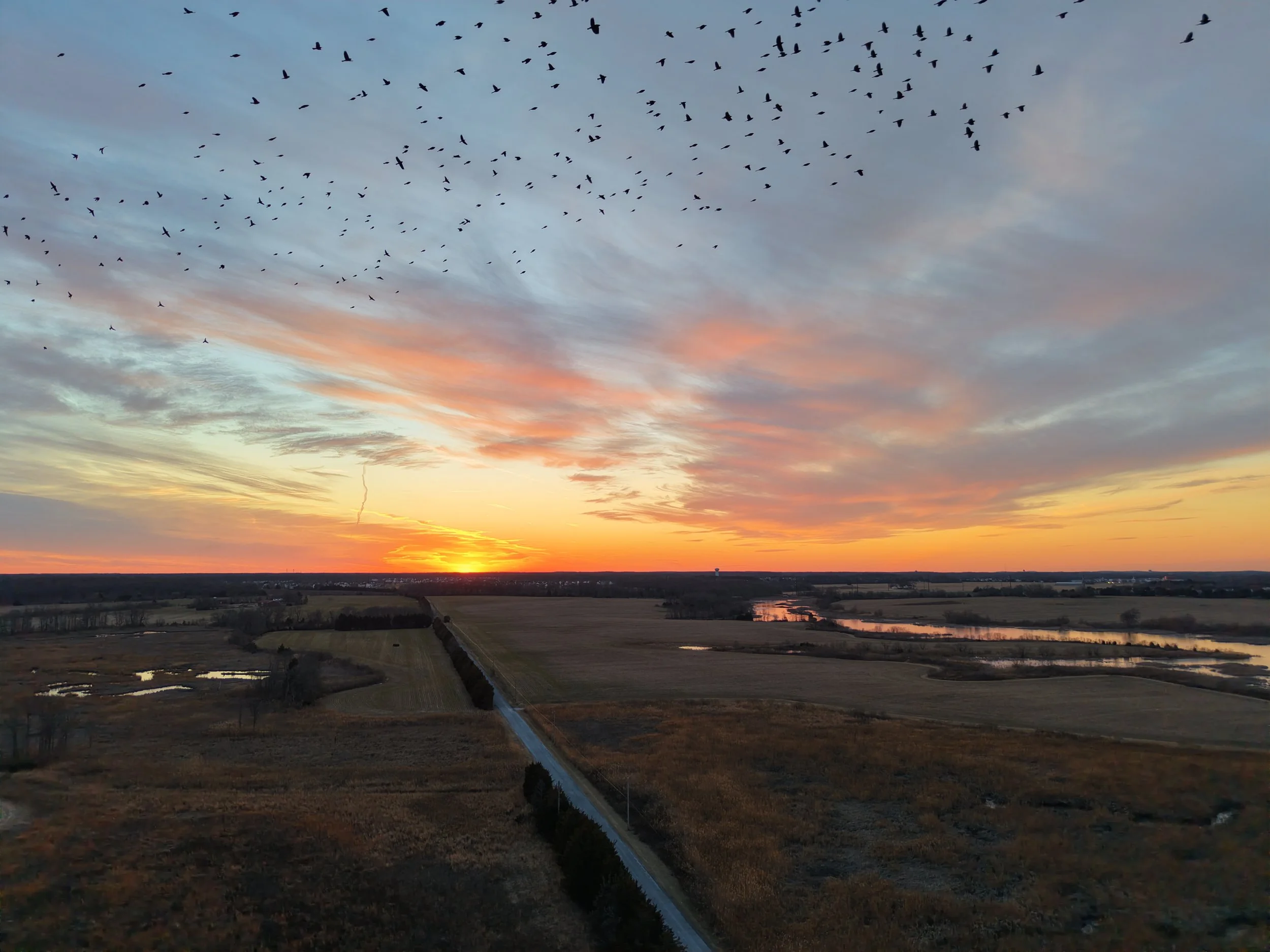 dji_fly_20260123_171304_0037_1769211892802_photo.jpg