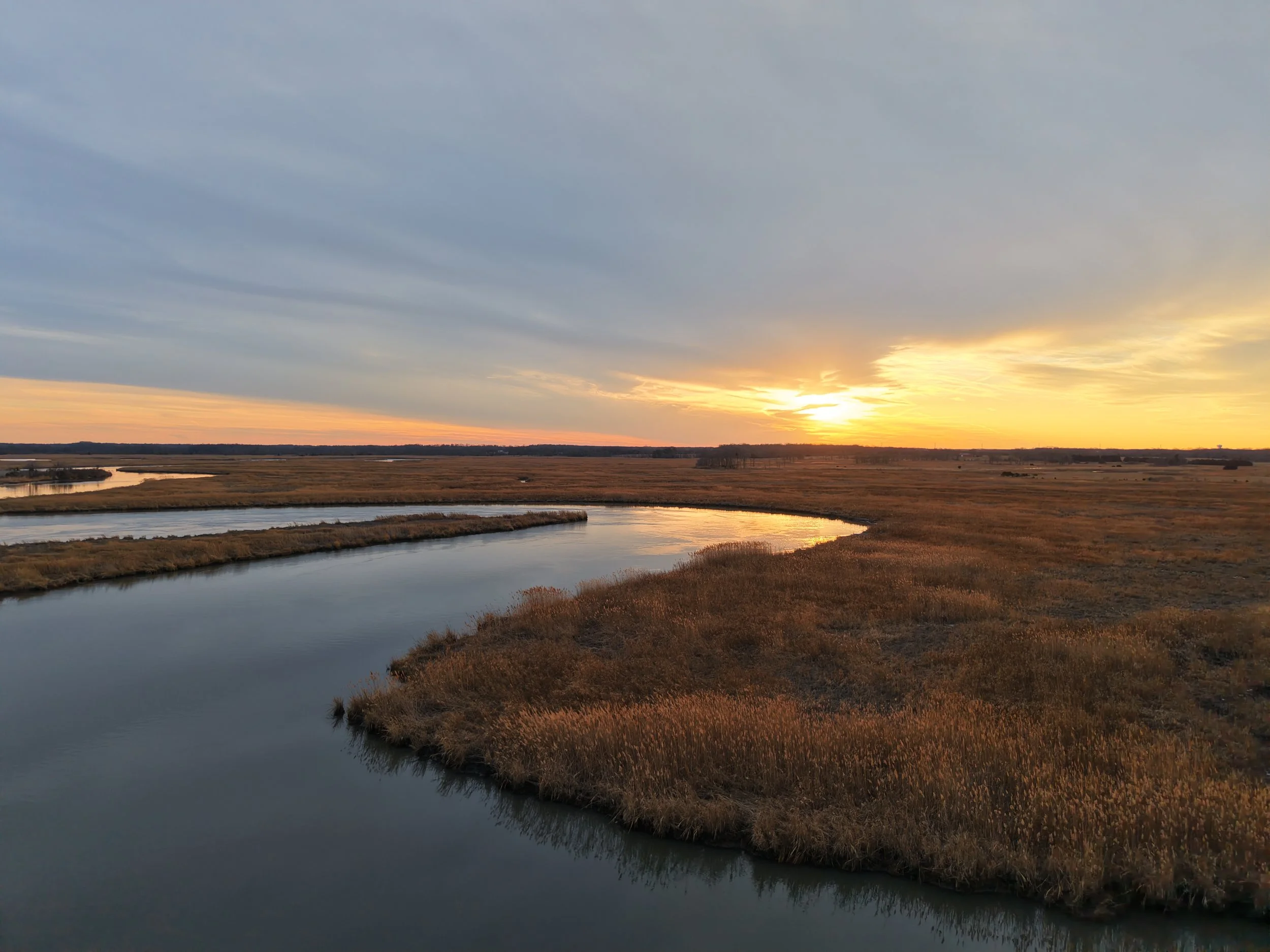 dji_fly_20260123_165132_0018_1769264961805_photo.jpg