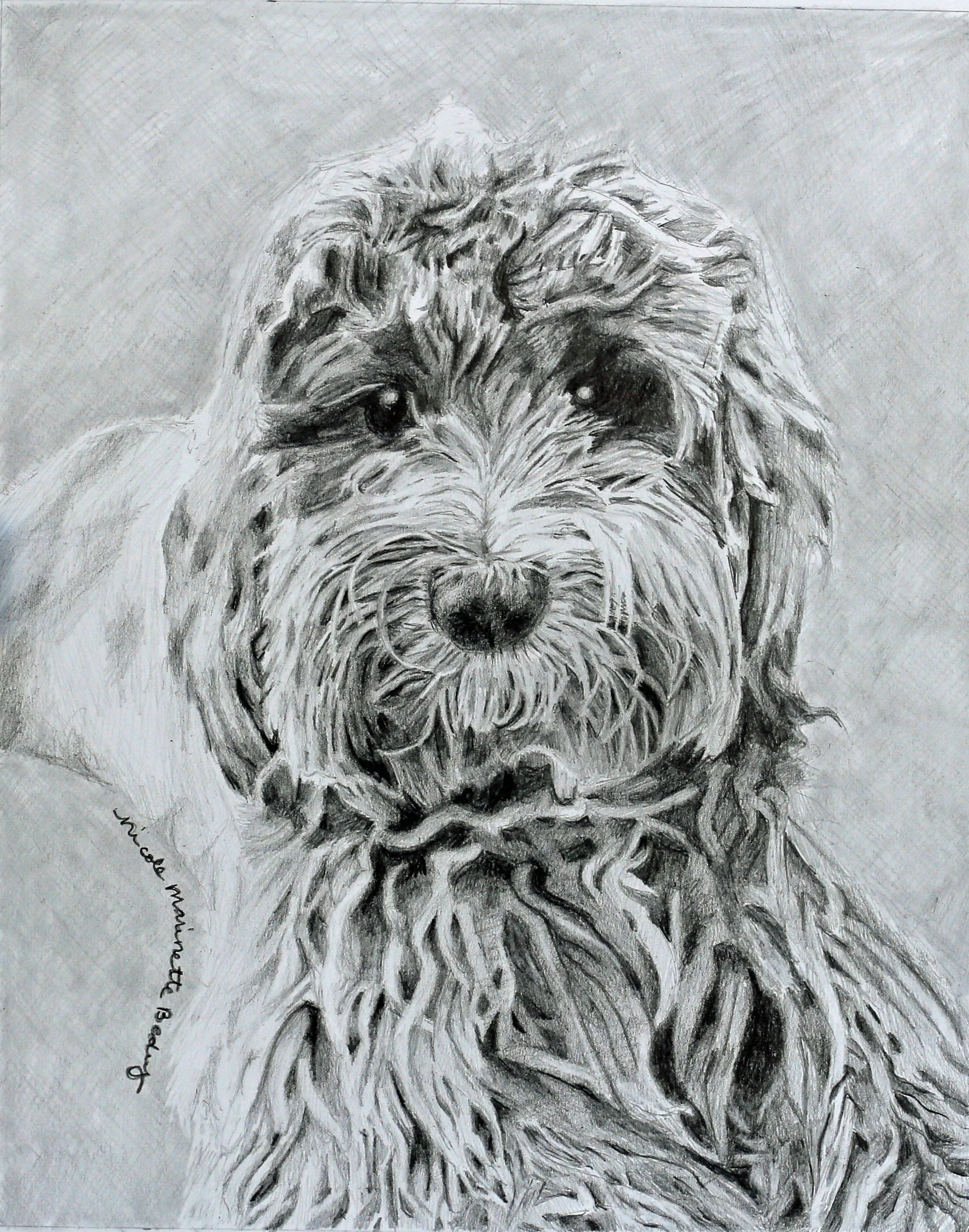 tree dog copy.jpg