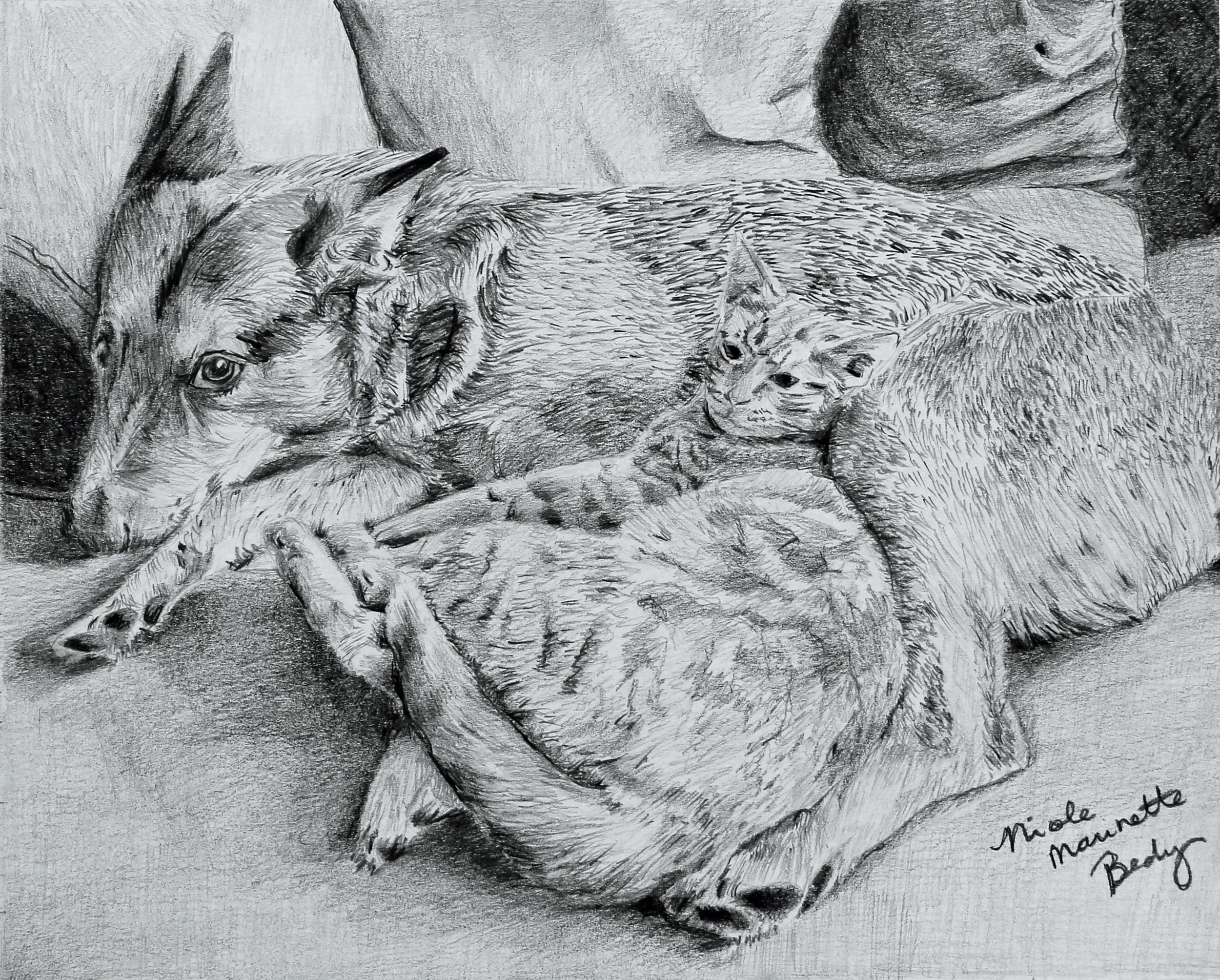 Dogsandcatslivingtogether.jpg