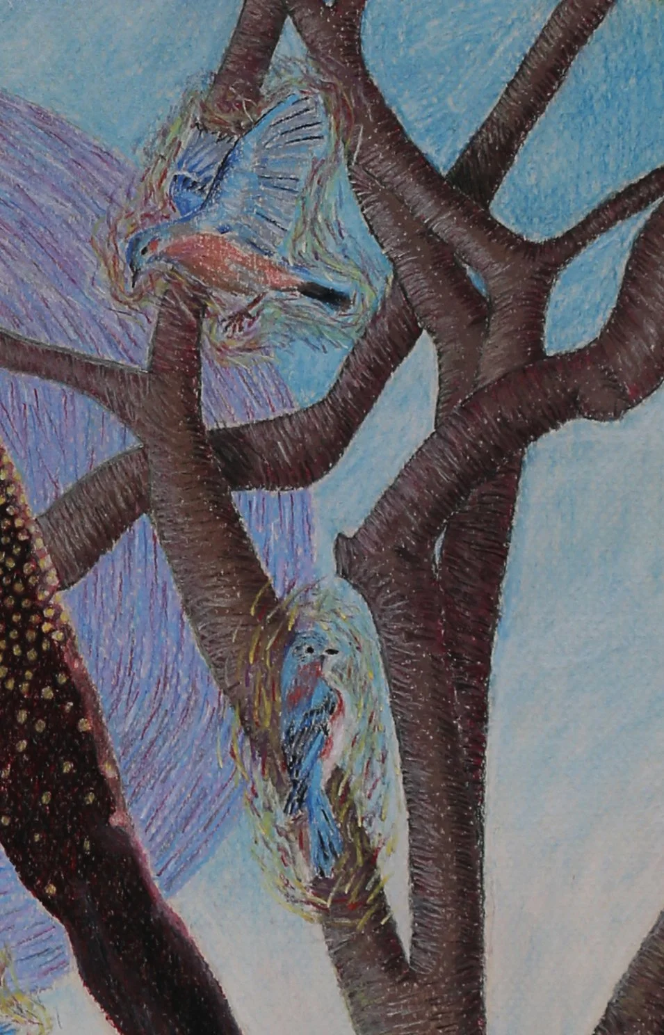 detail the adventure.jpg