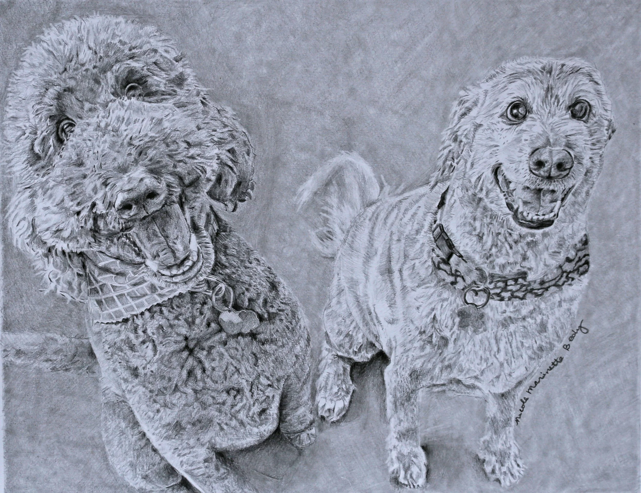 lightest two doggs.jpg