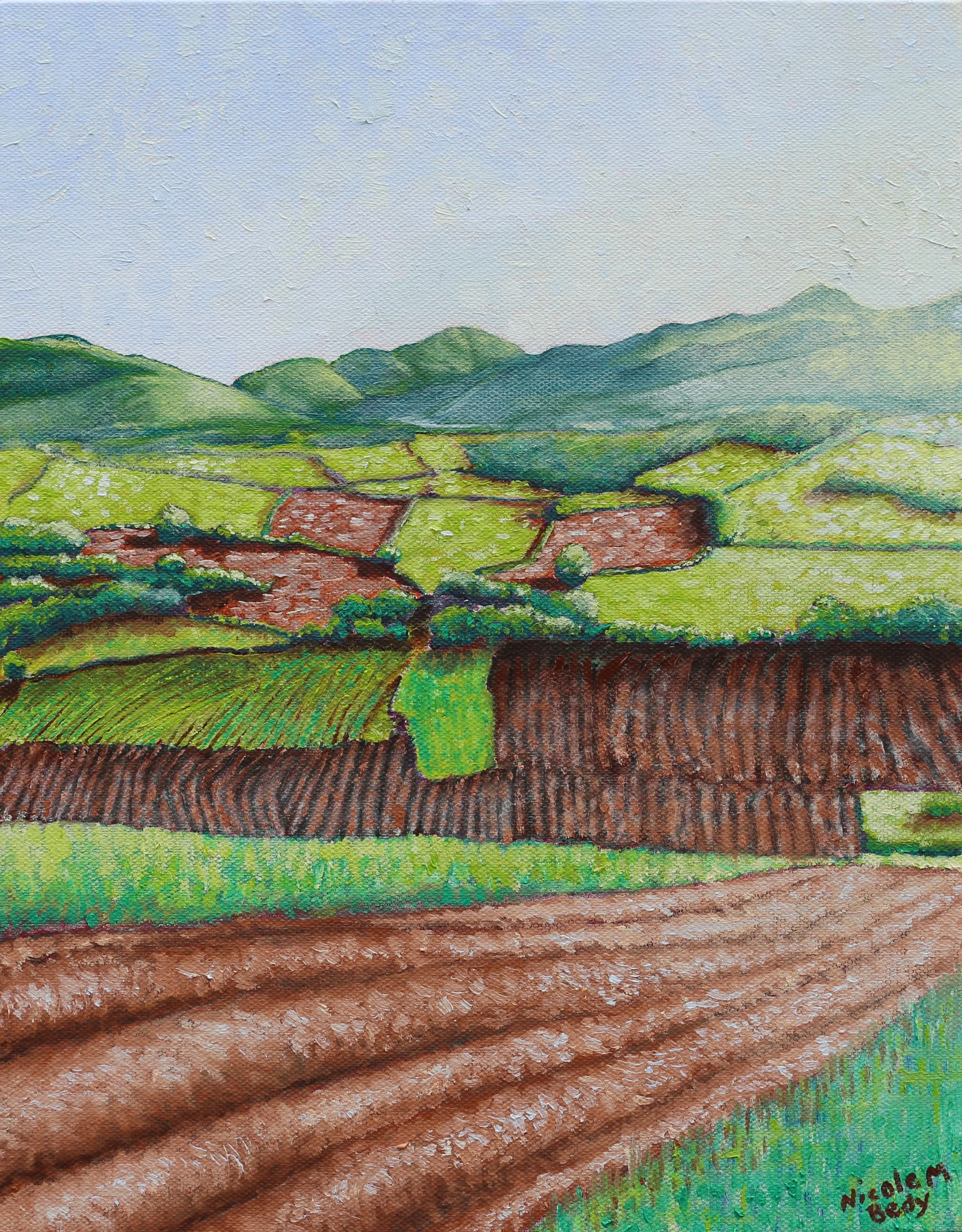 The Field of Possibilities 11" x 14" oil on canvass