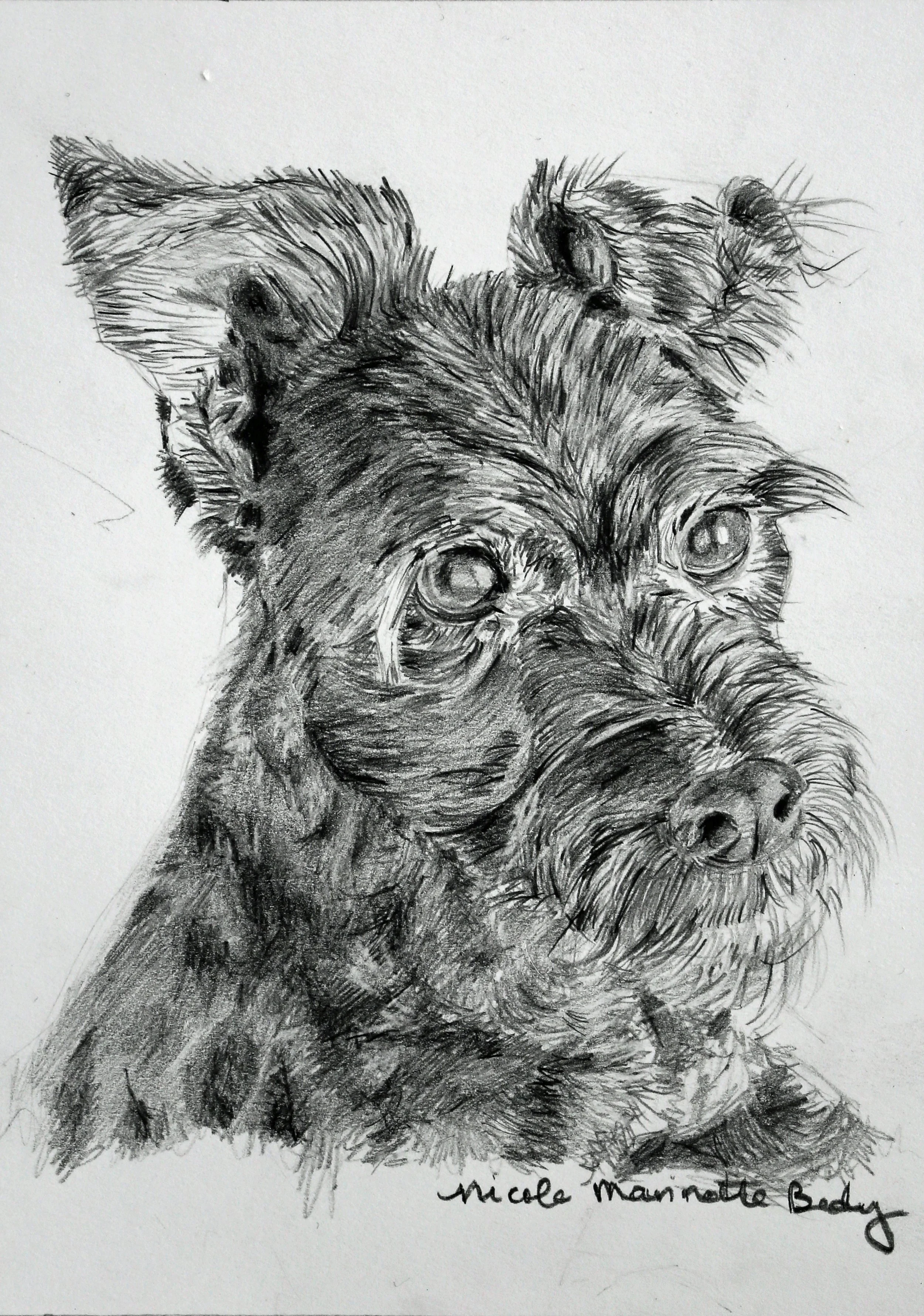 Favorit 5 x 7 Dog.jpg