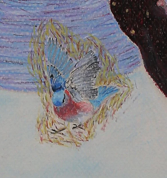 detail the adventure.jpg