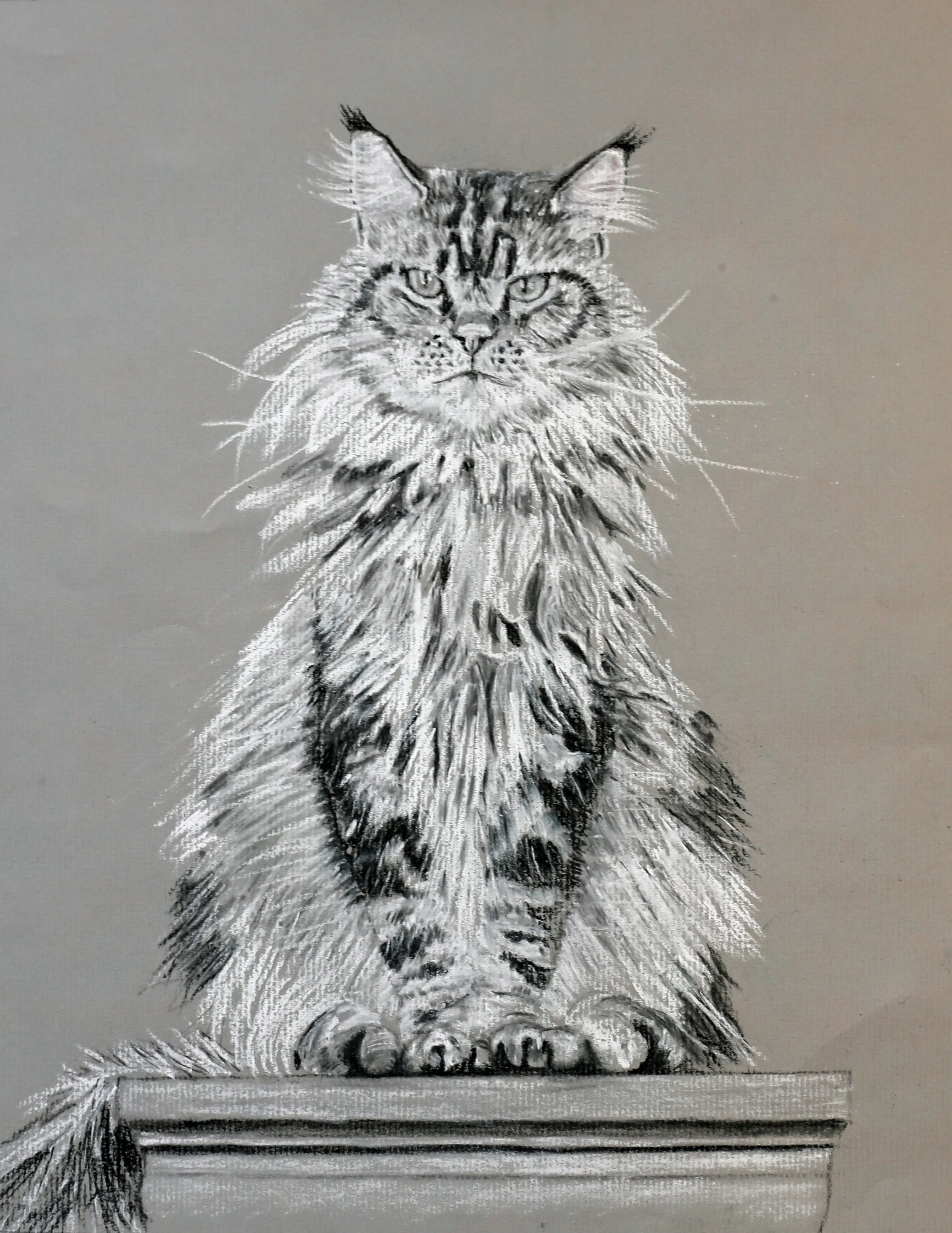 Very First Pet Portrait (charcoal cat).jpg
