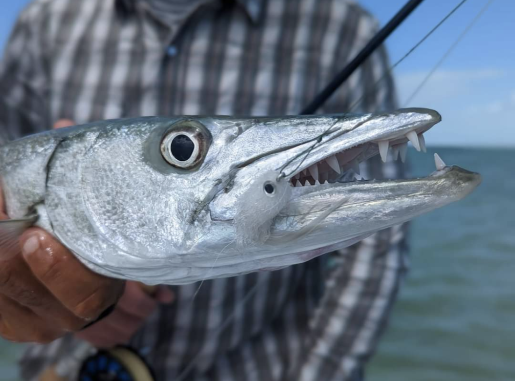 Screenshot_20240213-133922.png