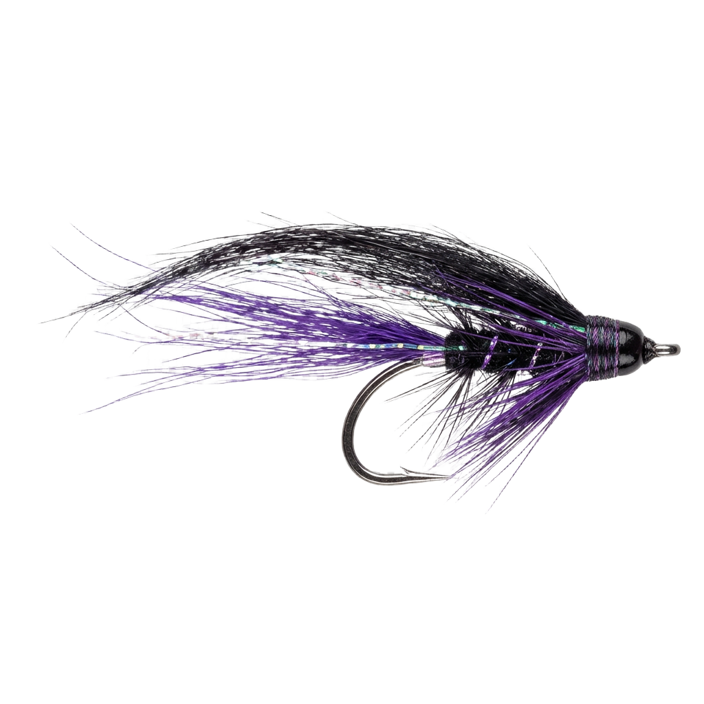 1a.png