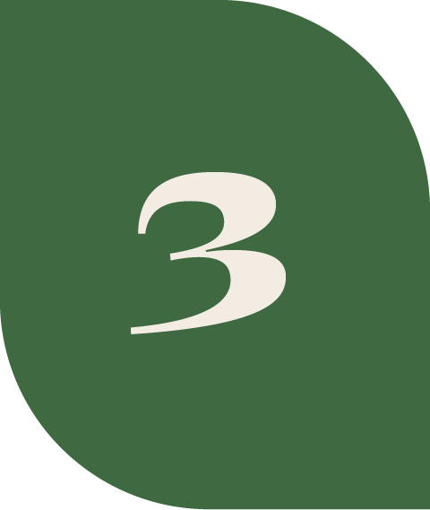 Green background with a white number three in the center.