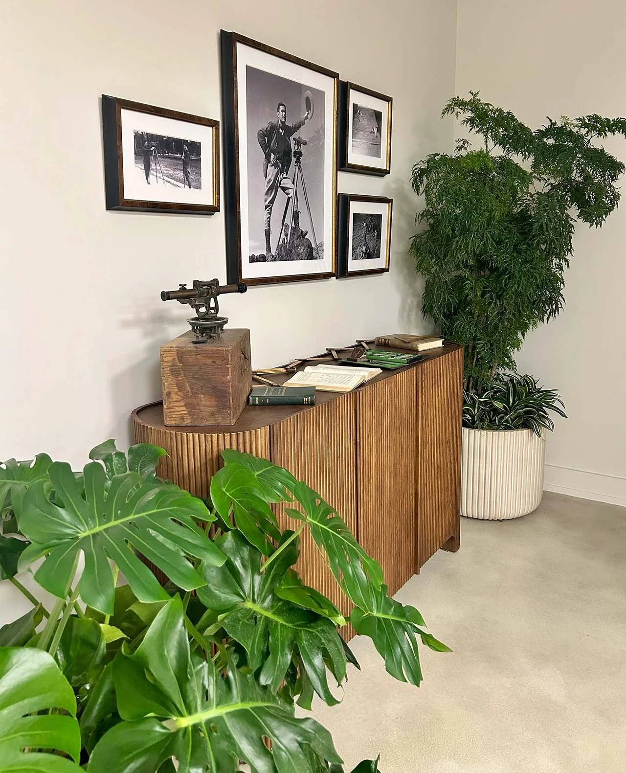 Interior of a room with green plants, a wooden cabinet with books and a vintage iron, and framed black-and-white photographs on the wall.