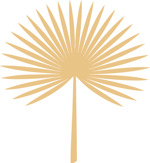 A stylized depiction of a palm tree with a beige trunk and fan-shaped fronds.
