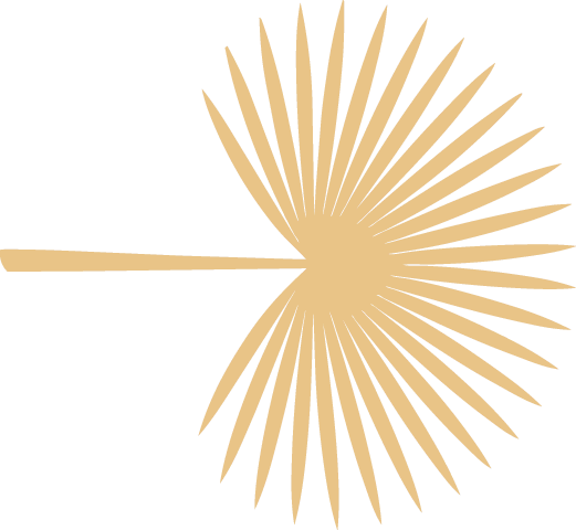 Gold-colored starburst or sunburst design with rays radiating outward from a central point.