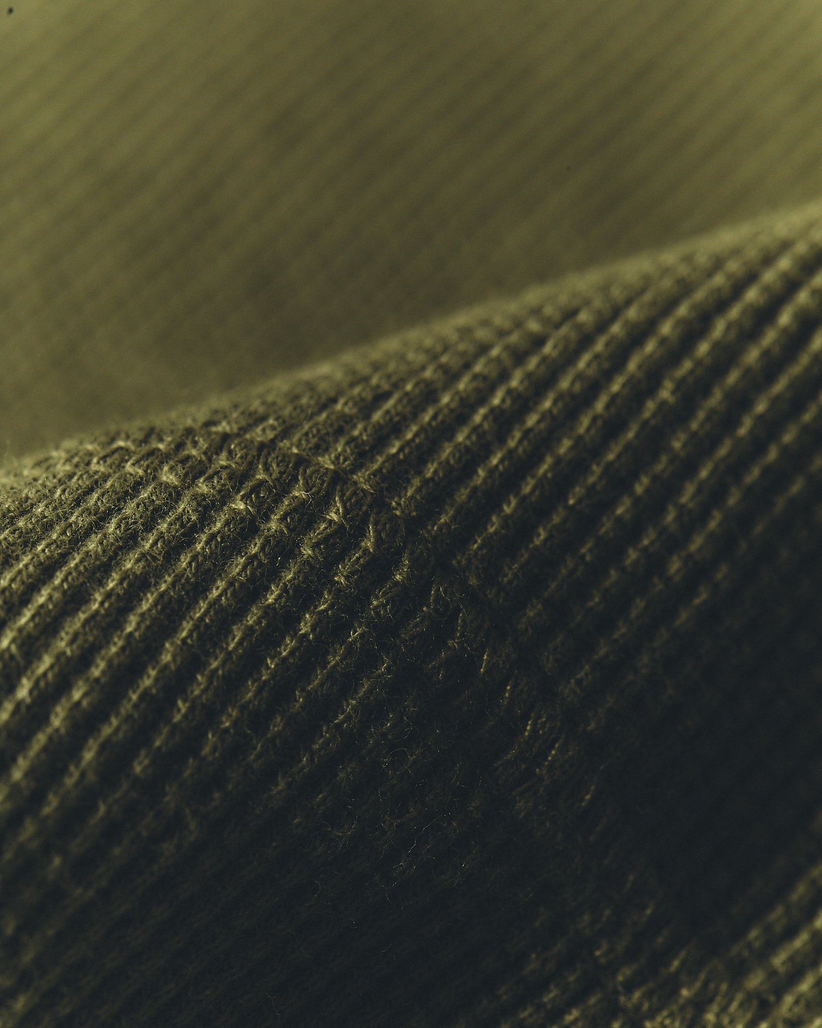 SPRING LAYDOWN 20260356.jpg