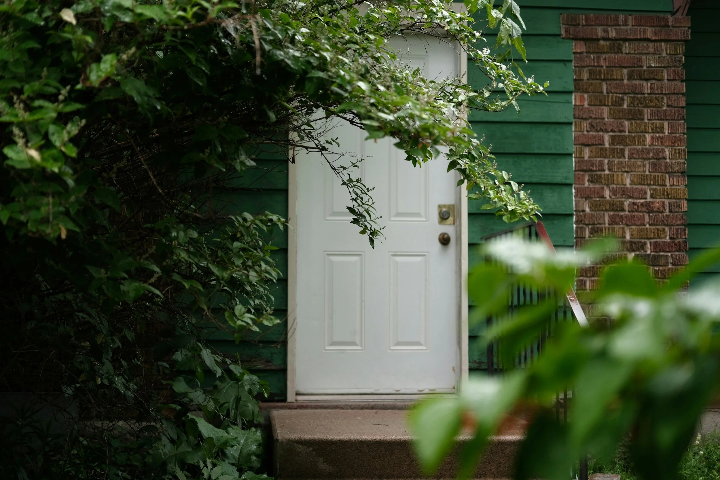 A house with green siding and large bushes growing close. Steps and a railing leading to a door with a branch growing in front.