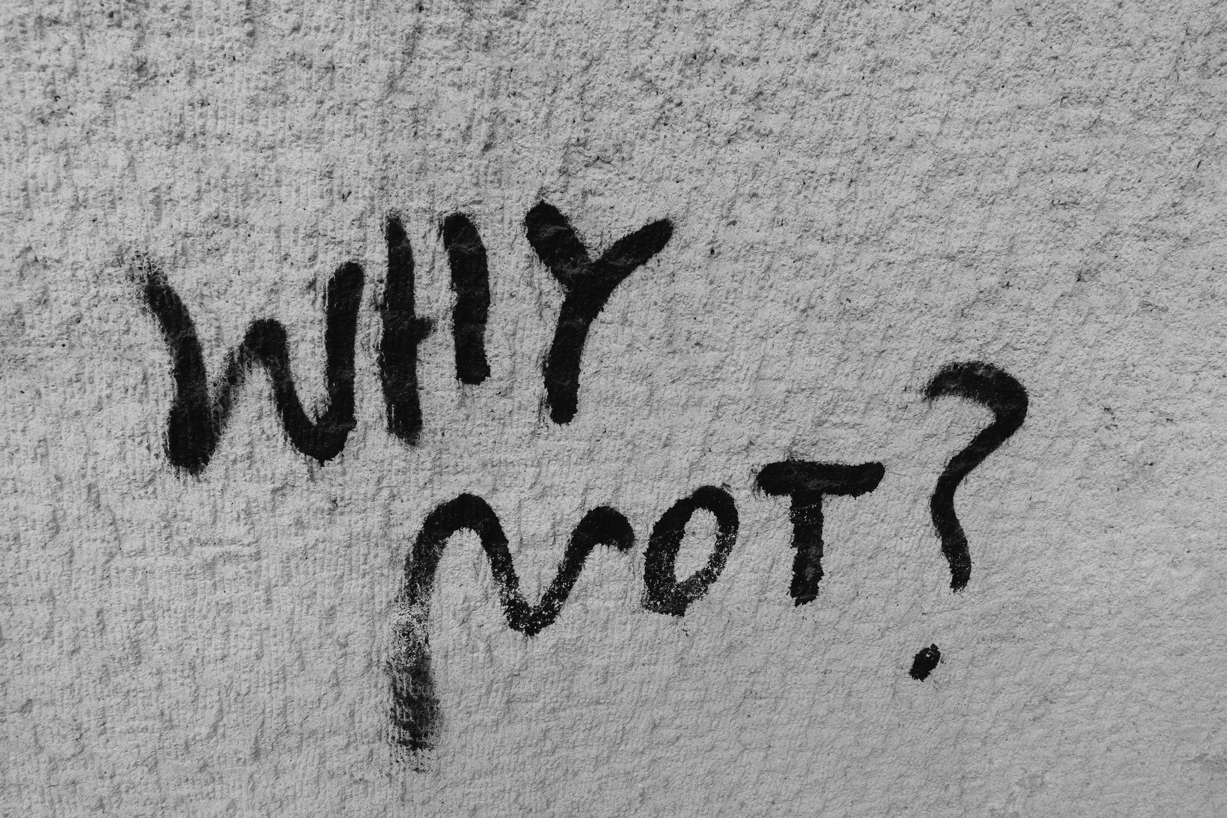 Spray painted image of “WHY NOT”.