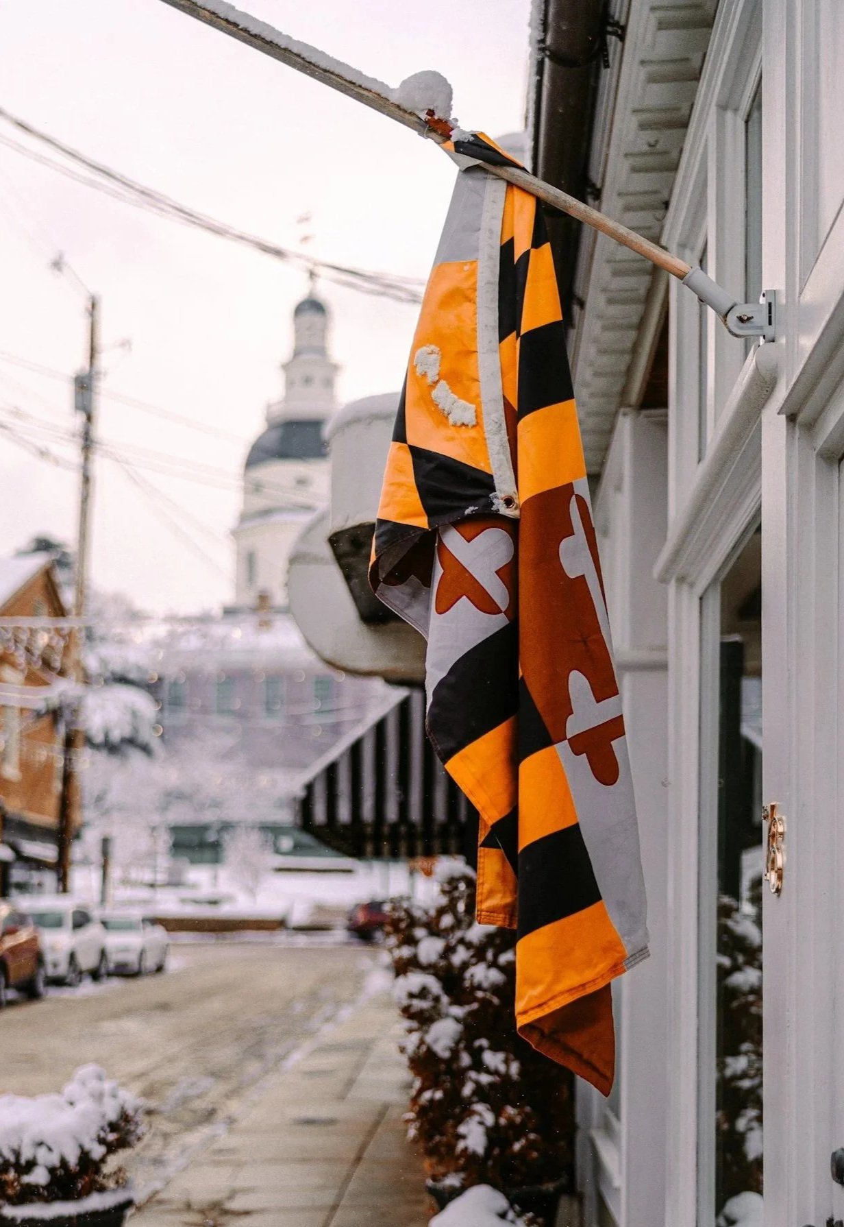 Picture of the Maryland State Flag.