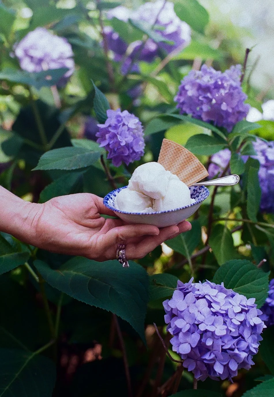 A hand holding a decorative bowl of vanilla ice cream with a wafer cone piece and a spoon, set against a backdrop of purple hydrangea flowers.