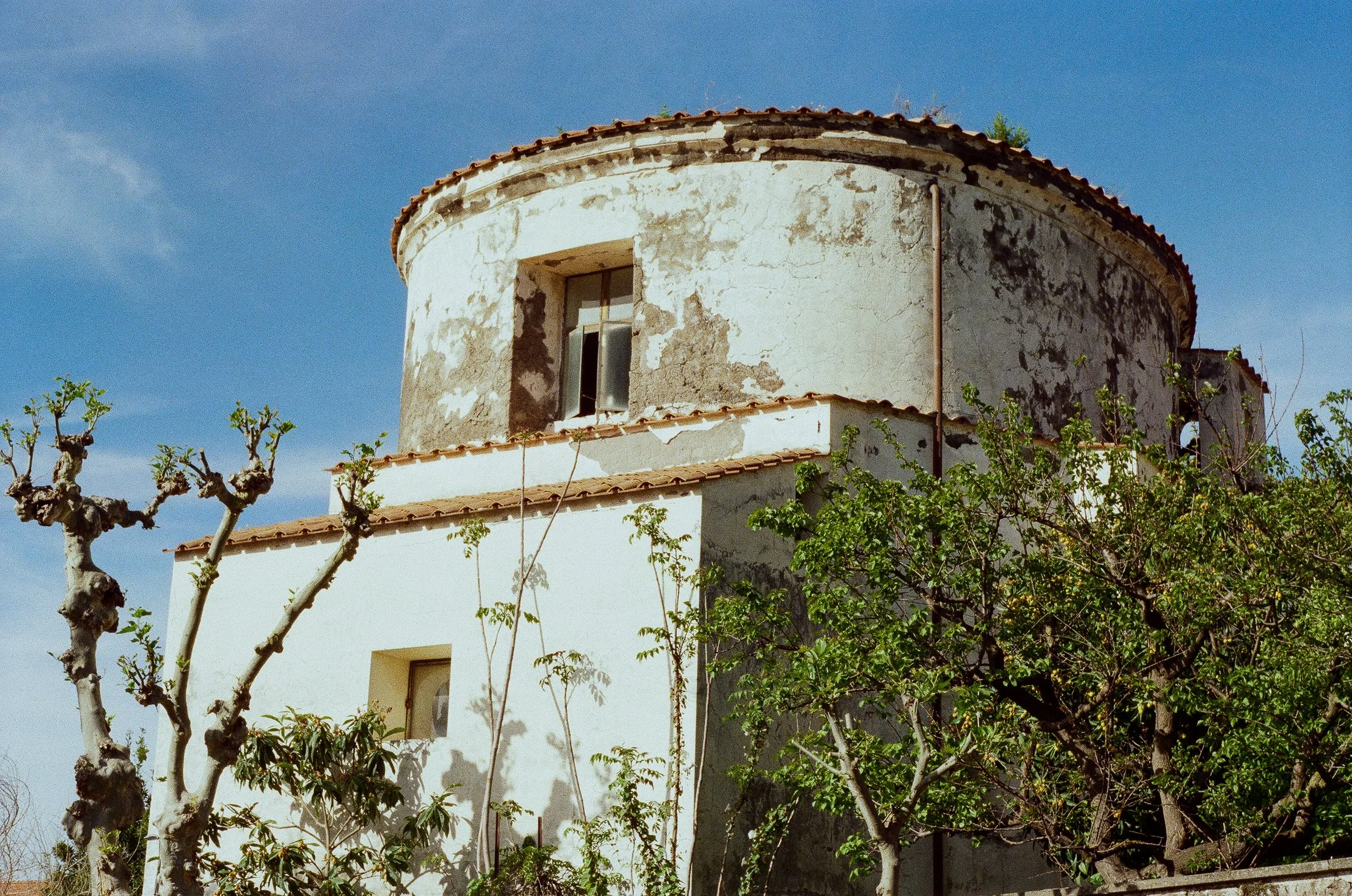 An old, weathered white house with peeling paint and a red tile roof, surrounded by pruned trees with budding green leaves, under a clear blue sky.