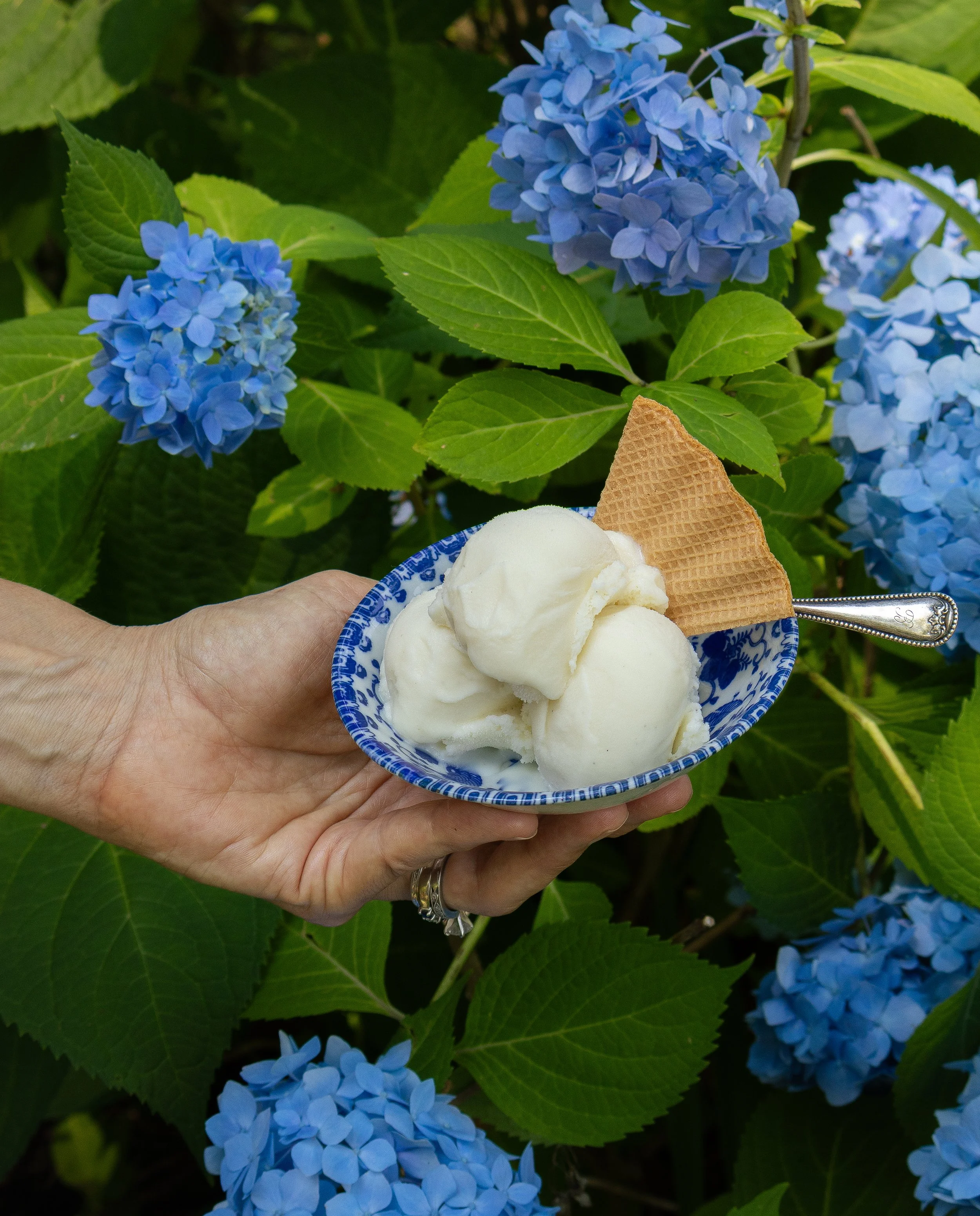 A hand holding a small blue and white patterned bowl filled with vanilla ice cream, with a waffle cone piece on top, in front of green leaves and blue hydrangea flowers