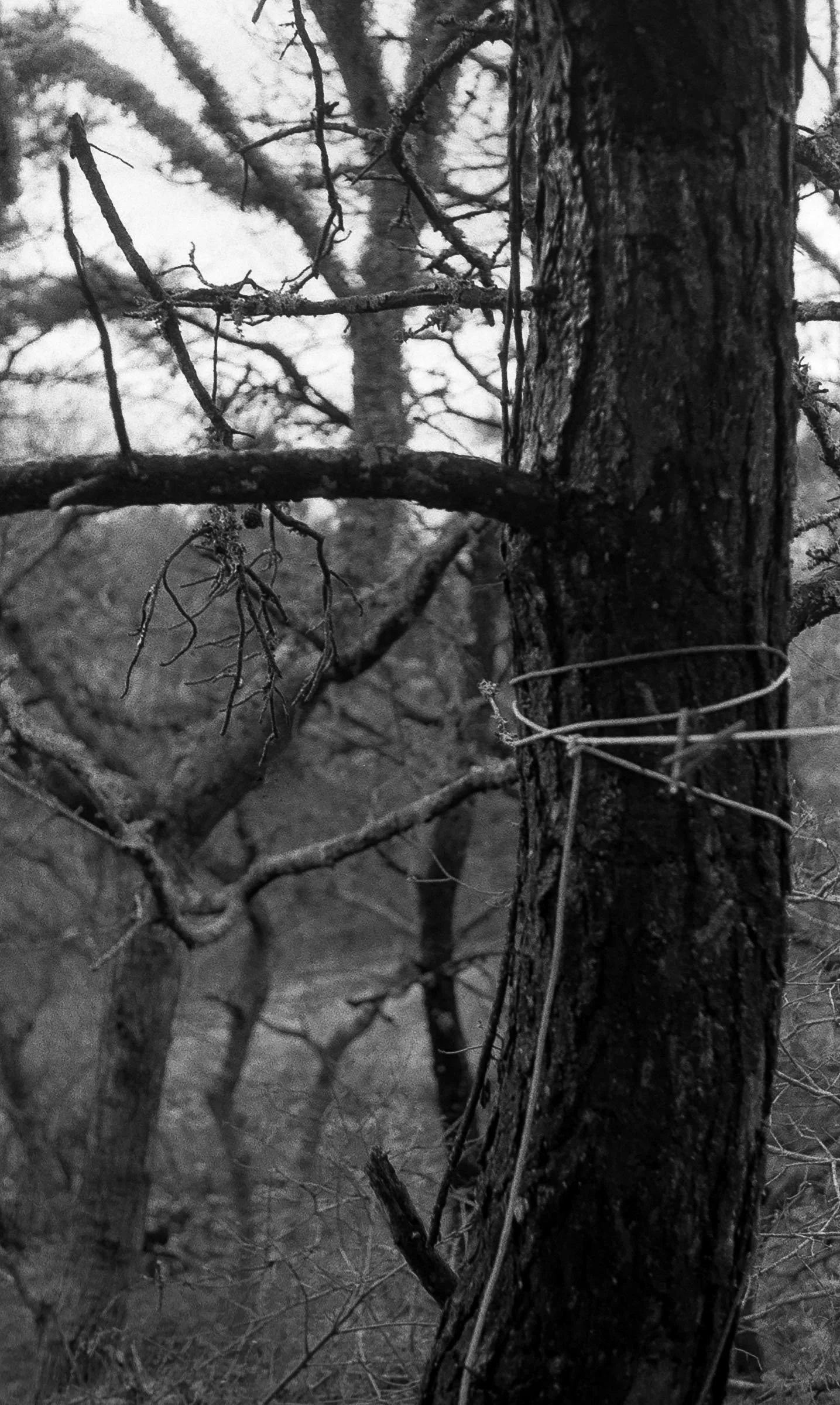 img001 - Copy - Copy.jpg