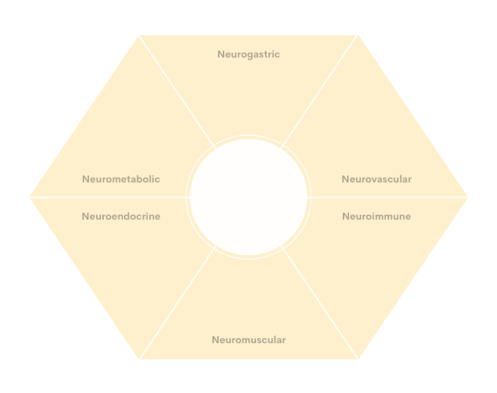 A beige, hexagonal diagram with a white central circle, divided into six segments labeled Neurogastric, Neurovascular, Neuroimmune, Neuromuscular, Neuroendocrine, and Neurometabolic.