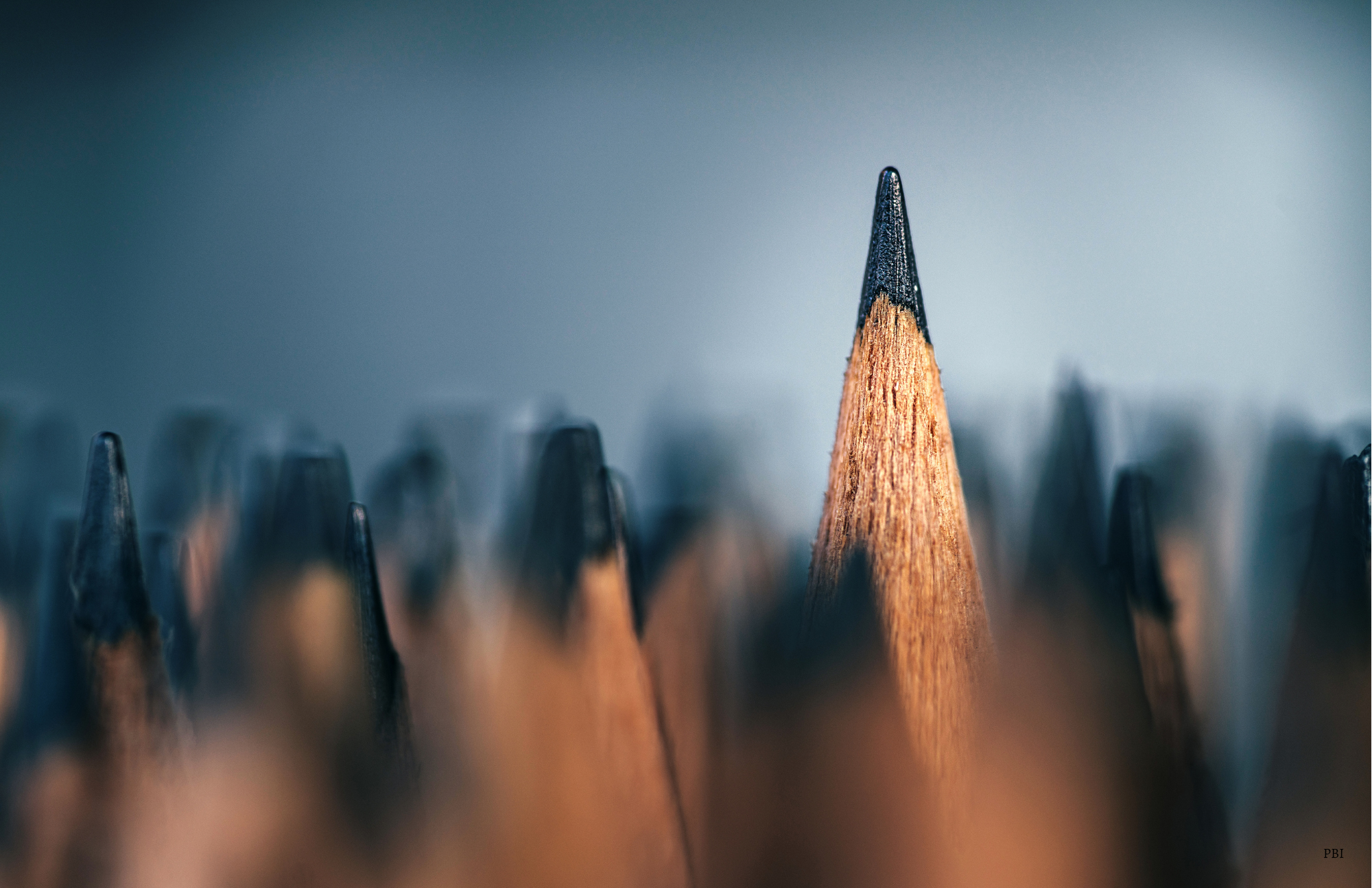 I would send you a bouquet of newly sharpened pencils