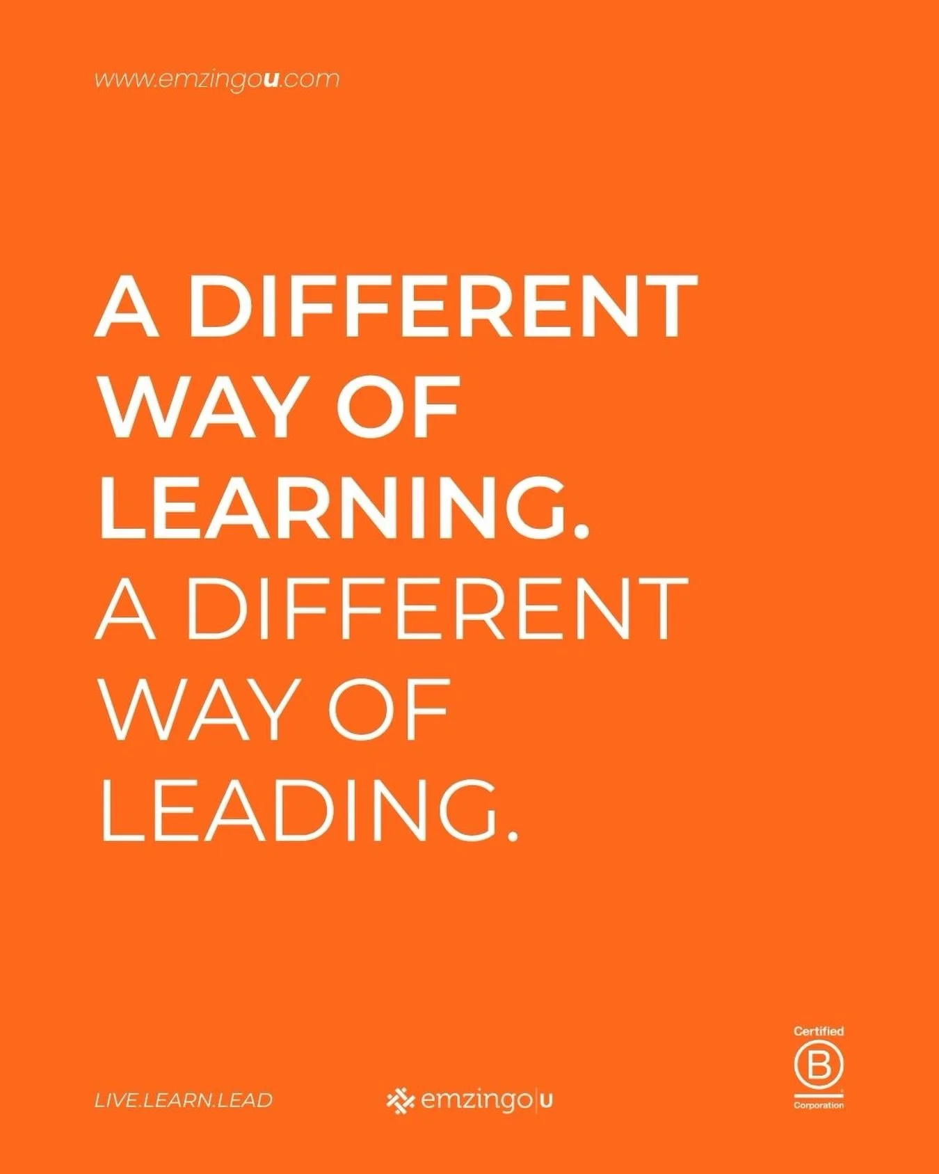 There&rsquo;s a big difference between understanding an idea and actually having to use it. 

Emzingo|U helps students bridge that gap through real-world experiences that challenge how they think, collaborate, and lead.

Across our programs, particip
