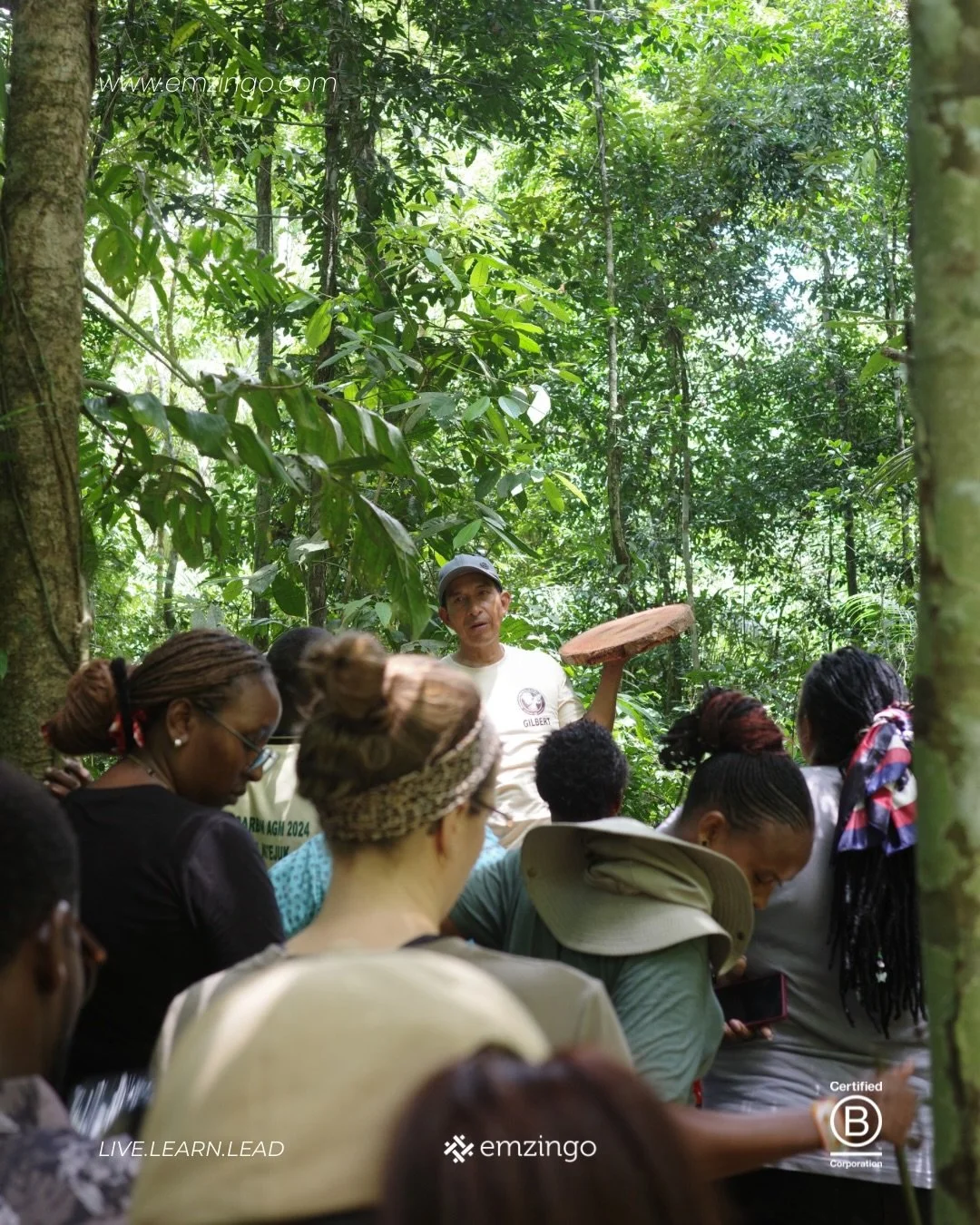 A few moments from the CMP Summit 2025🌿

The CMP (Changemakers Program) Summit is the final, multi-day gathering of the six-month Changemakers Program. 

The 2025 event was held in November in Puerto Maldonado, Peru, serving as the culmination of th
