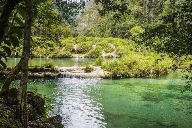A tranquil natural scene of a clear, greenish-blue river flowing through a lush, green forest with small waterfalls in the background.