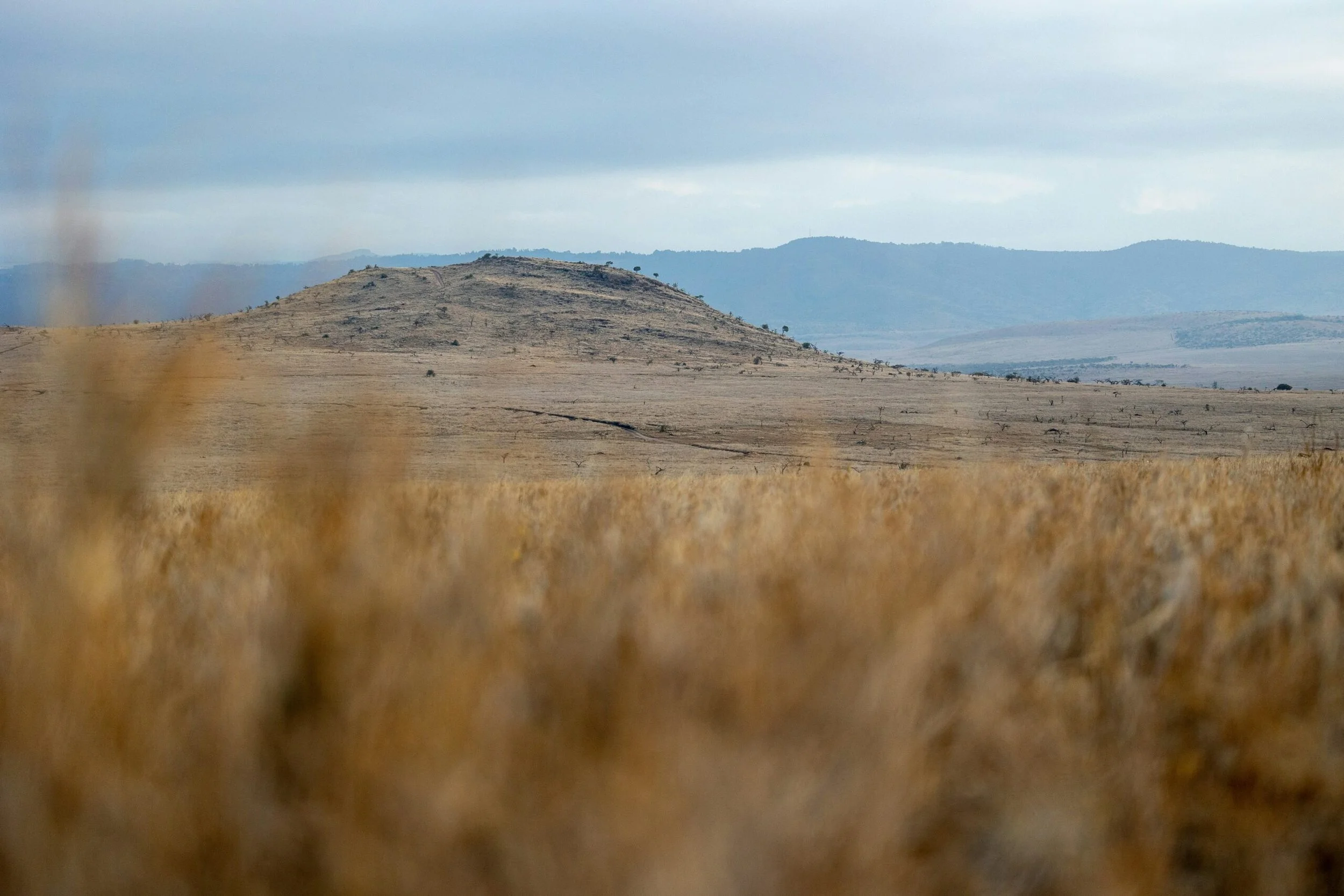 My Experience in Kenya