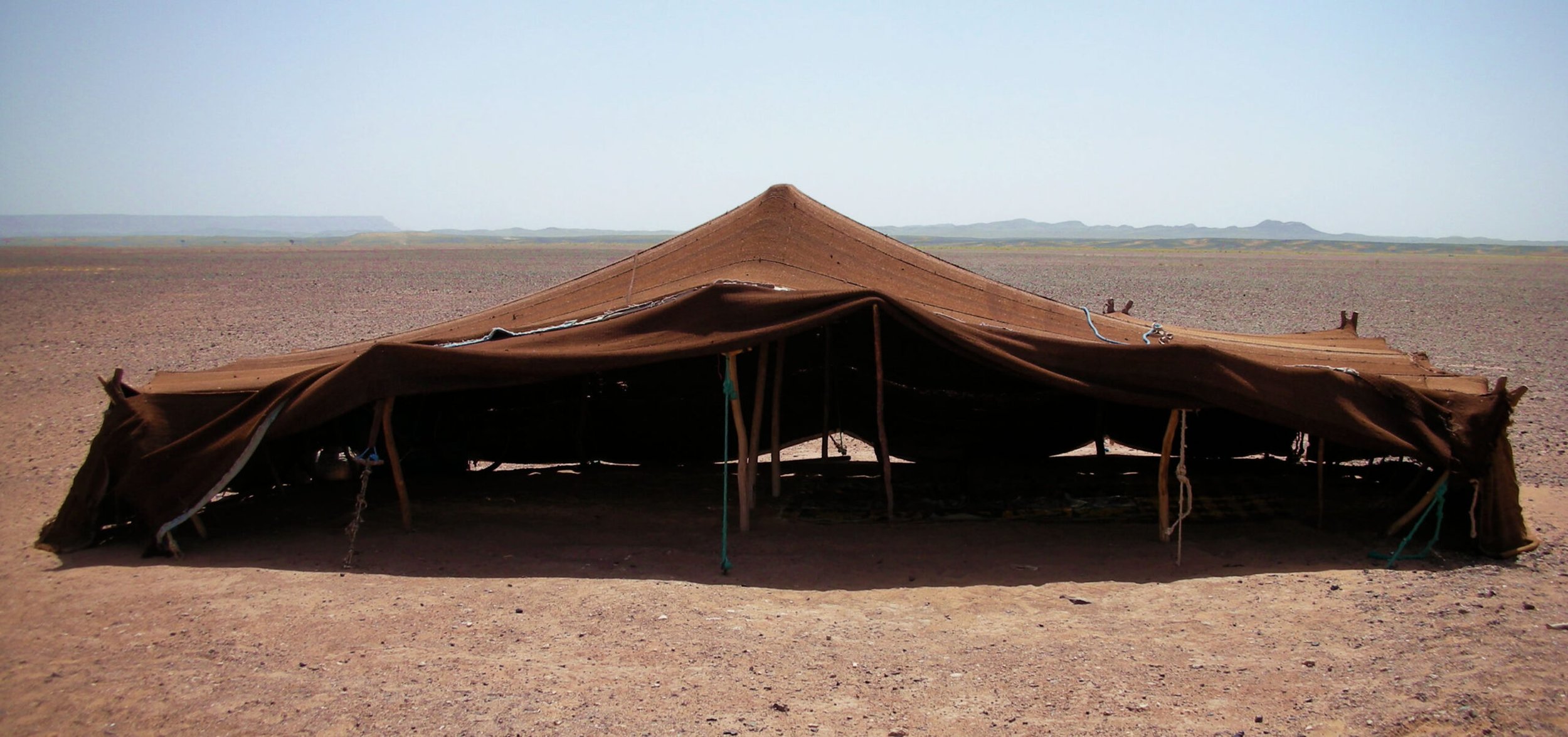 A Season of Expansion: Stretching Wide the Tent of Impact