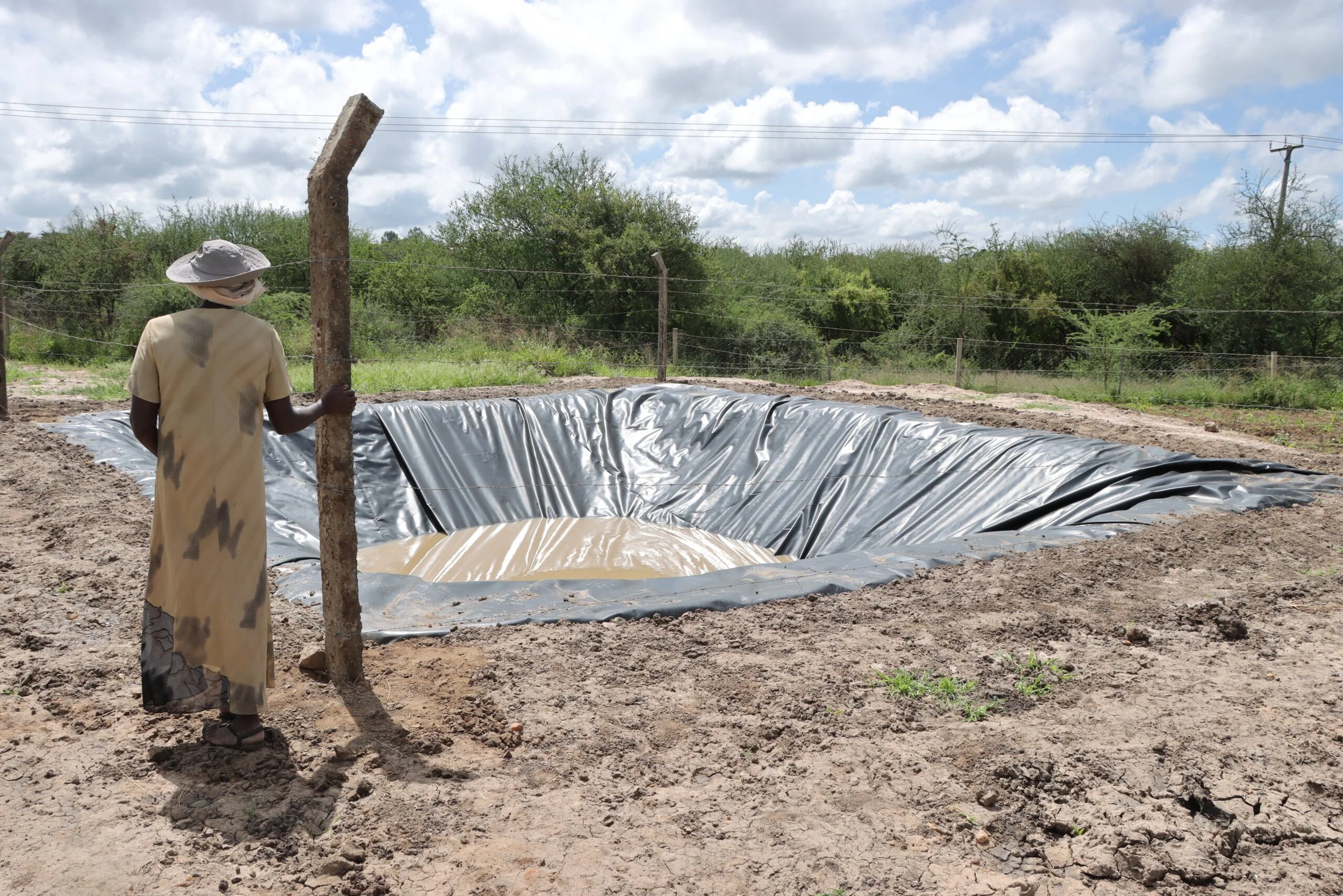 The Farm Pond Pilot Project