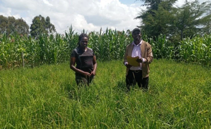 Celebrating Growth and Impact in Kenya 