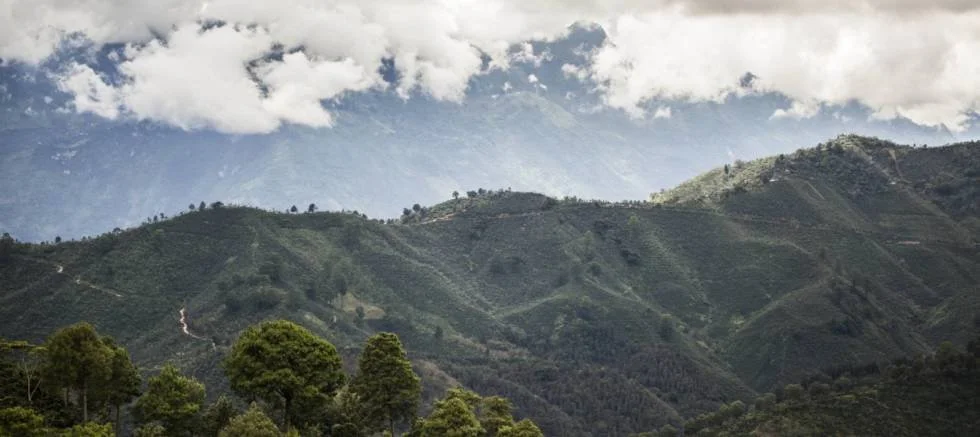 El Pajal Community Update