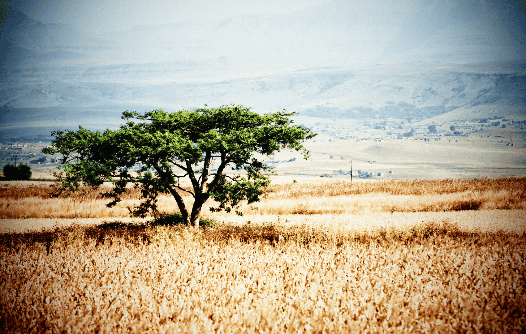 Hunger-Driven Success, Part 1