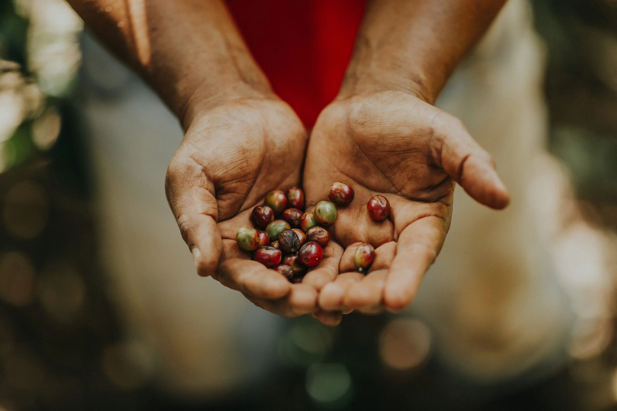 Empower Communities This Giving Tuesday With 410 Bridge