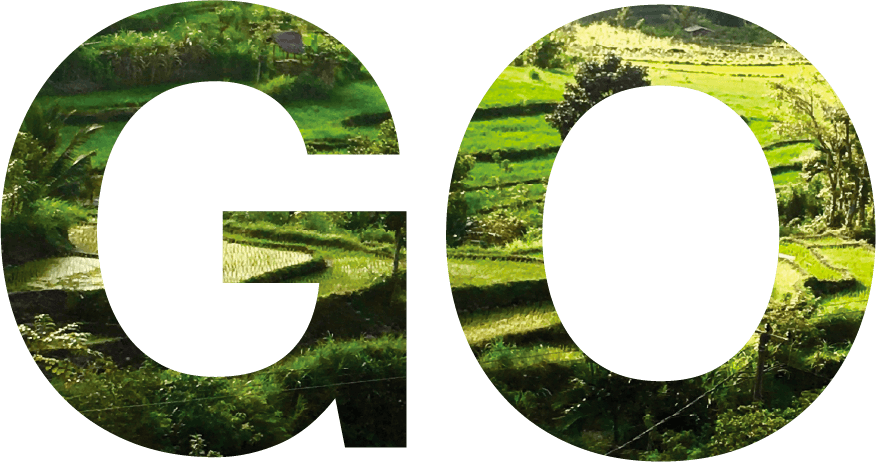 The word 'eco' with a background of green terraced rice fields and lush vegetation visible through the letters.